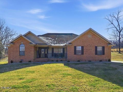 Photo of 1077 Bartlett Drive, Jefferson City, TN 37760 (MLS # 9990704)