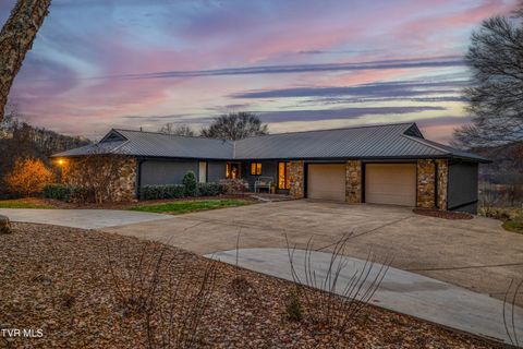 Photo of 176 Timber Lake Drive, Rogersville, TN 37857 (MLS # 9989789)