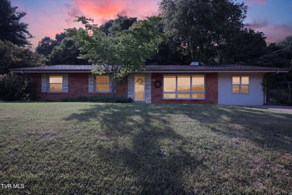 Photo of 167 Charleston Street, Weber City, VA 24290 (MLS # 9997884)