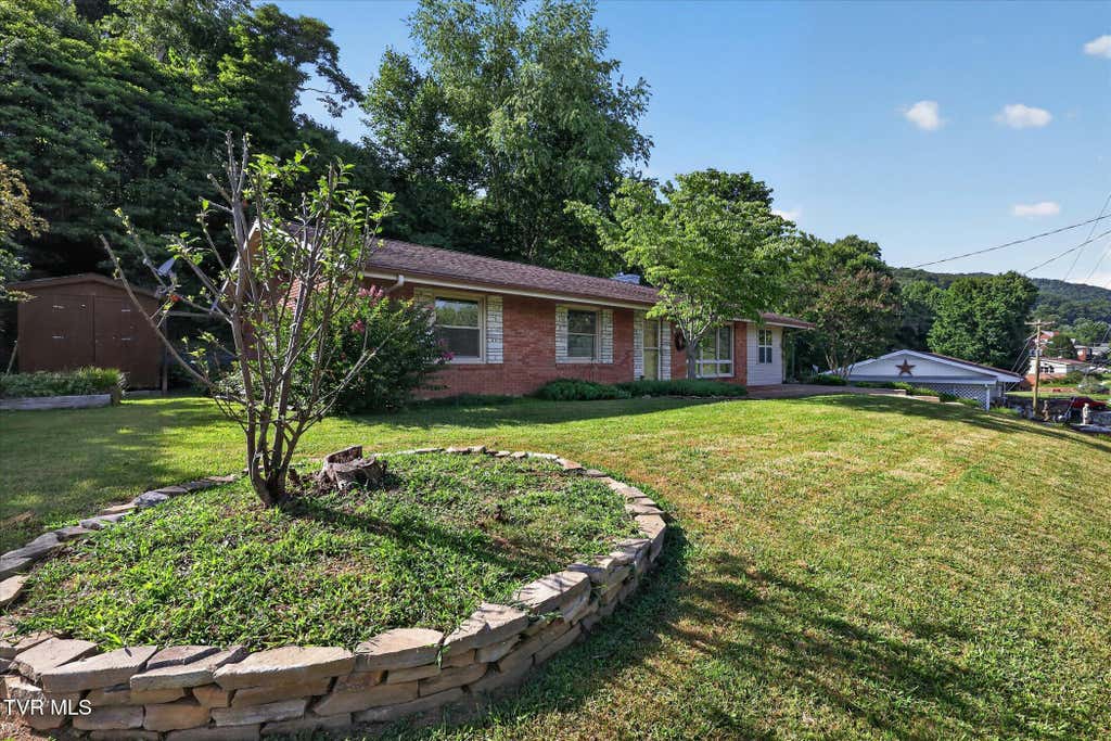 Photo of 167 Charleston Street, Weber City, VA 24290 (MLS # 9997884)