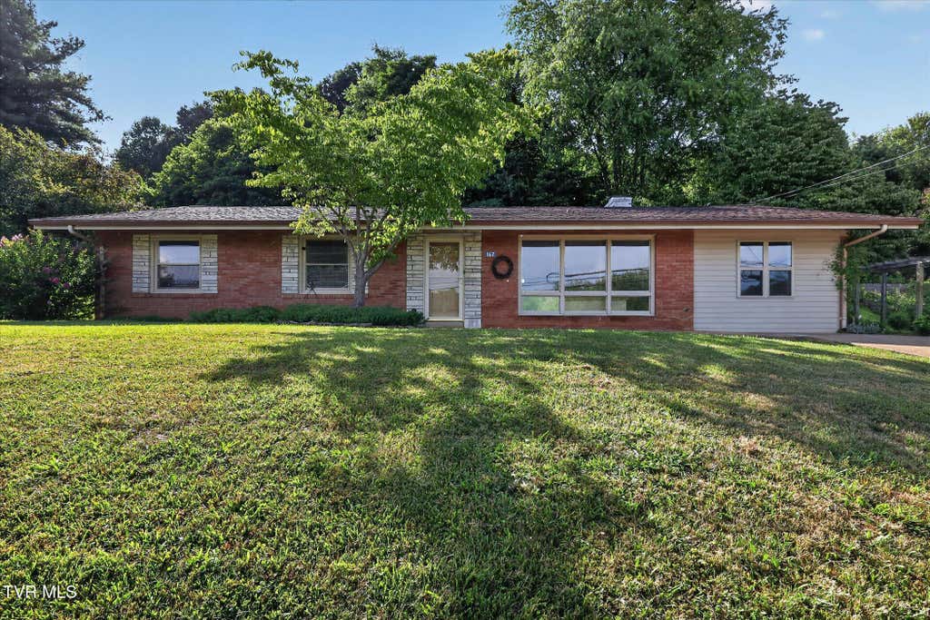 Photo of 167 Charleston Street, Weber City, VA 24290 (MLS # 9997884)