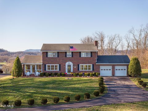 442 South Monte Vista Drive Glade Spring VA 24340