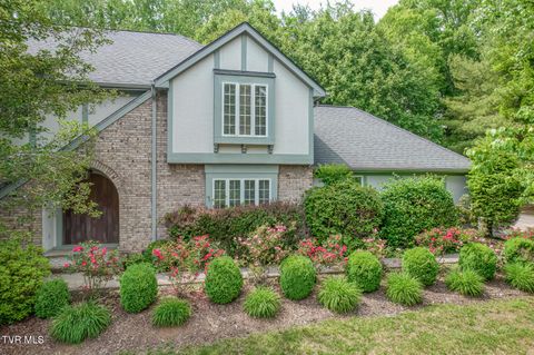 Photo of 30 Kilmainhom Circle, Bristol, TN 37620 (MLS # 9995592)