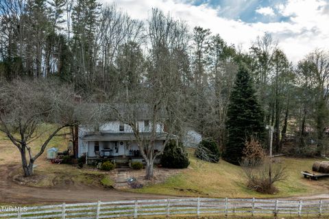 Photo of 517 Mill Creek Road, Mountain City, TN 37683 (MLS # 9990659)