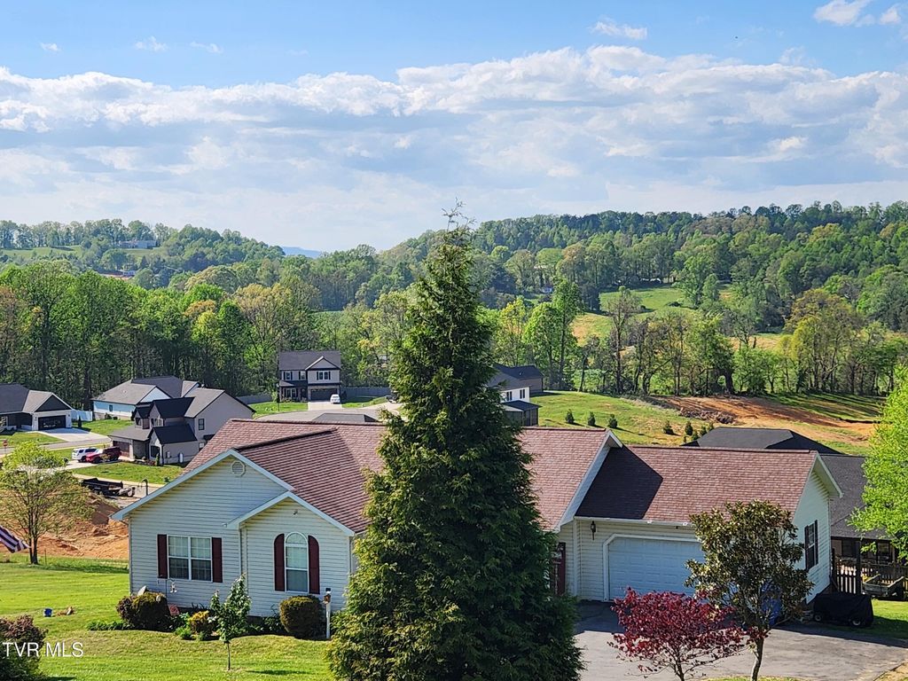 Photo of 1253 Skyline Drive, Jonesborough, TN 37659 (MLS # 9994077)