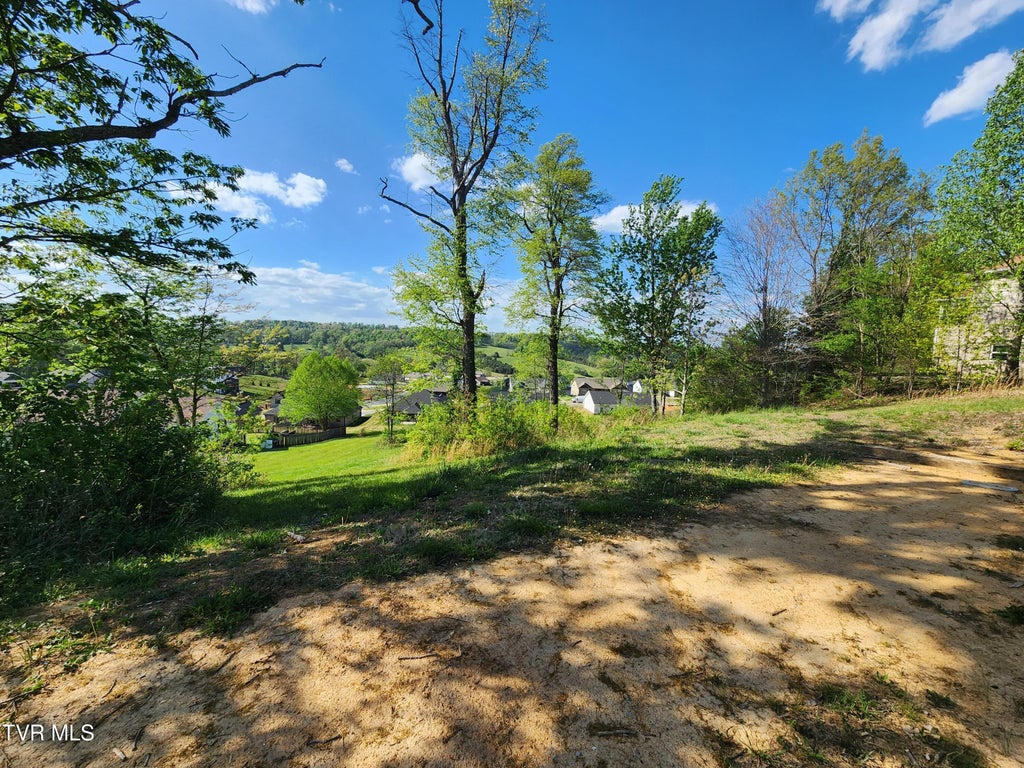 Photo of 1253 Skyline Drive, Jonesborough, TN 37659 (MLS # 9994077)