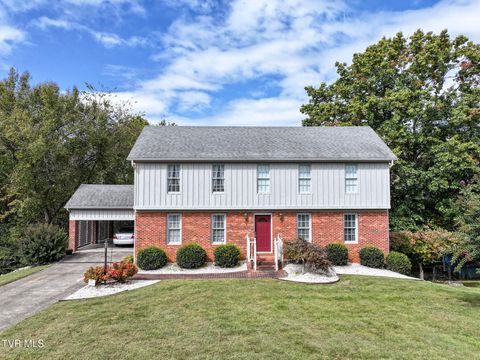Photo of 102 Magnolia Drive, Greeneville, TN 37743 (MLS # 9987132)