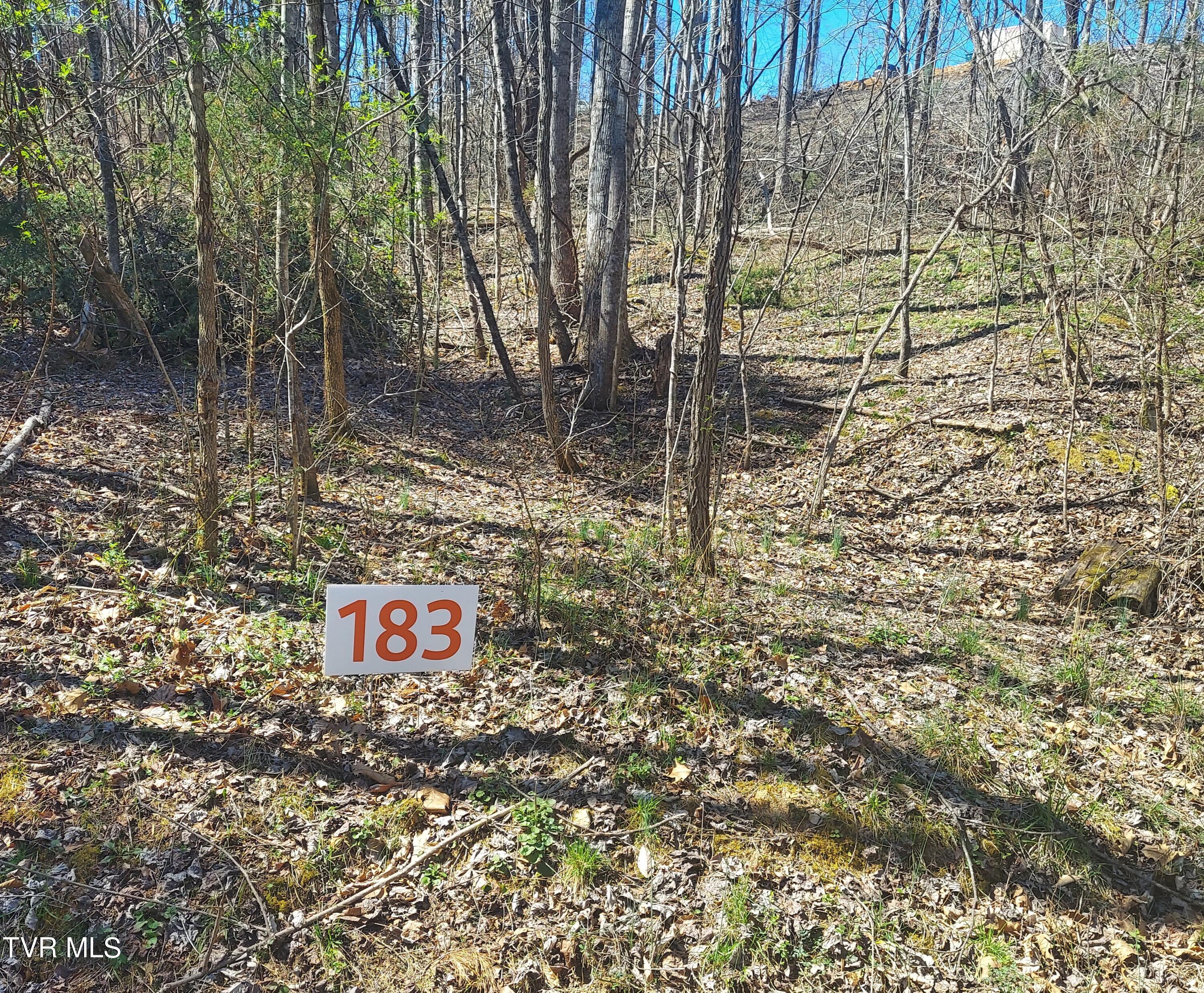 183 Ox Bow, Unicoi, Tennessee image 1
