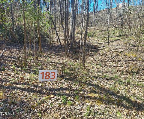 Vacant Land For Sale - 183 Ox Bow<br/> Unicoi County, Unicoi, TN 37692