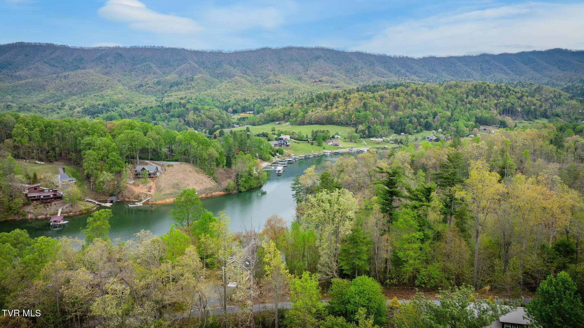 434 Cove Ridge Circle, Butler, Tennessee image 9