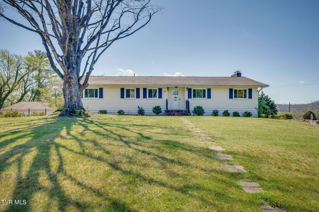 Photo of 125 Meadow Wood Drive, Bristol, TN 37620 (MLS # 9993332)