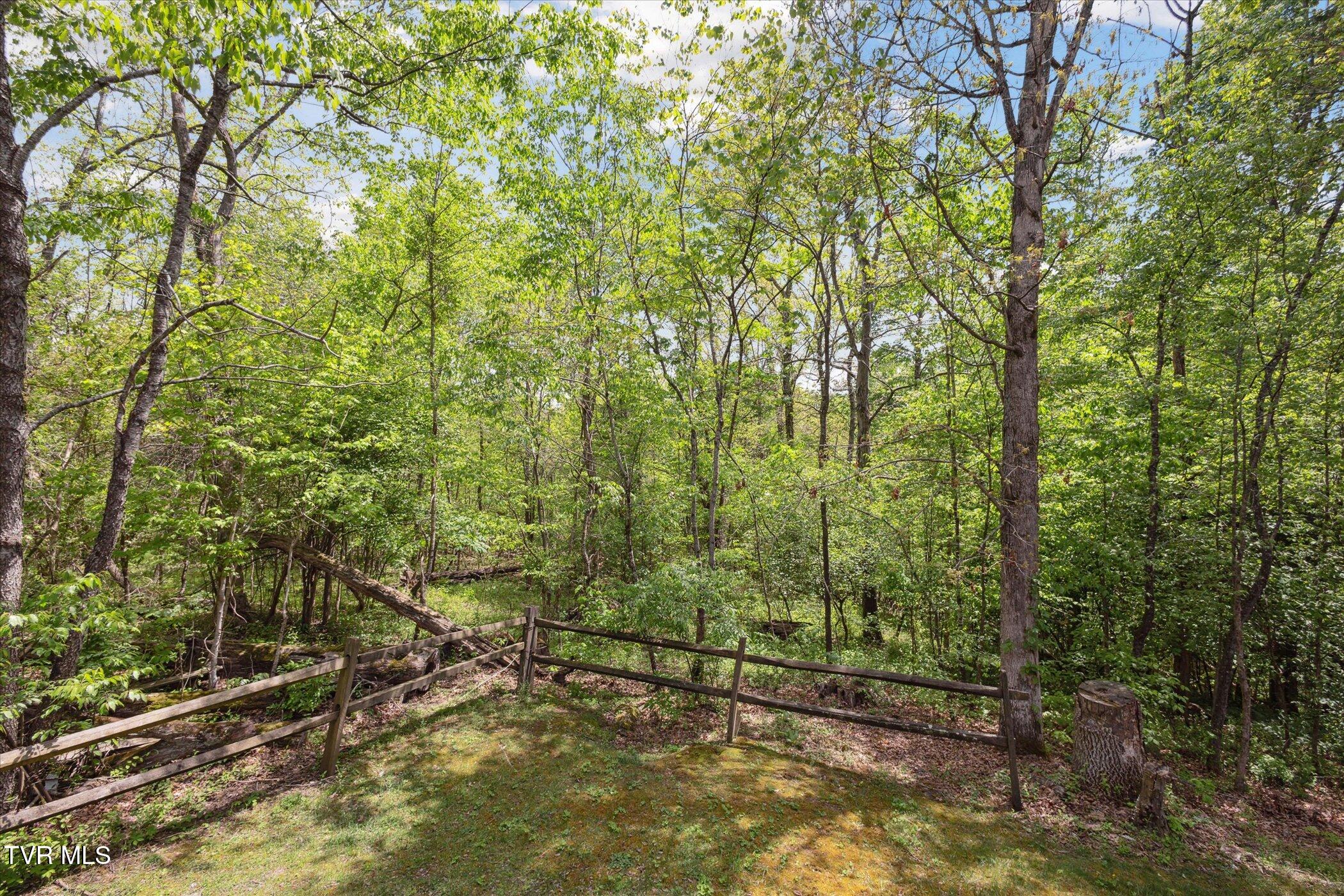 20 Willowbrook Drive #20, Kingsport, Tennessee image 29