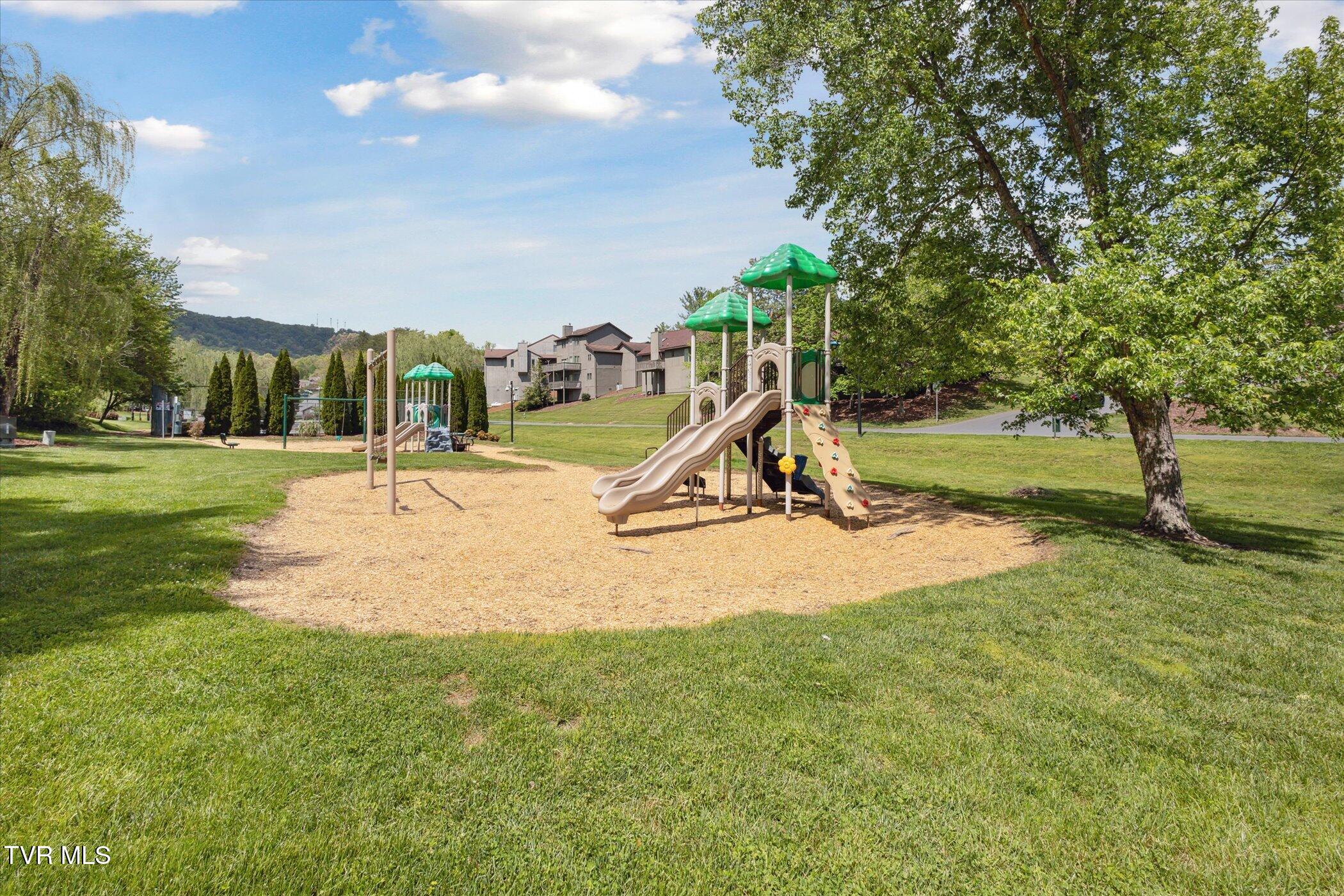 20 Willowbrook Drive #20, Kingsport, Tennessee image 36