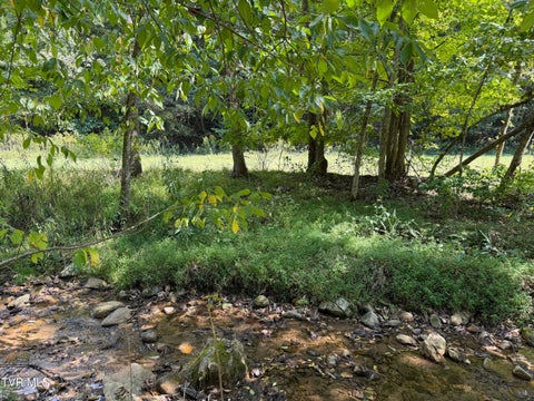 Vacant Land For Sale - LOT 1 Greggs Branch Road<br/> Butler, TN 37640