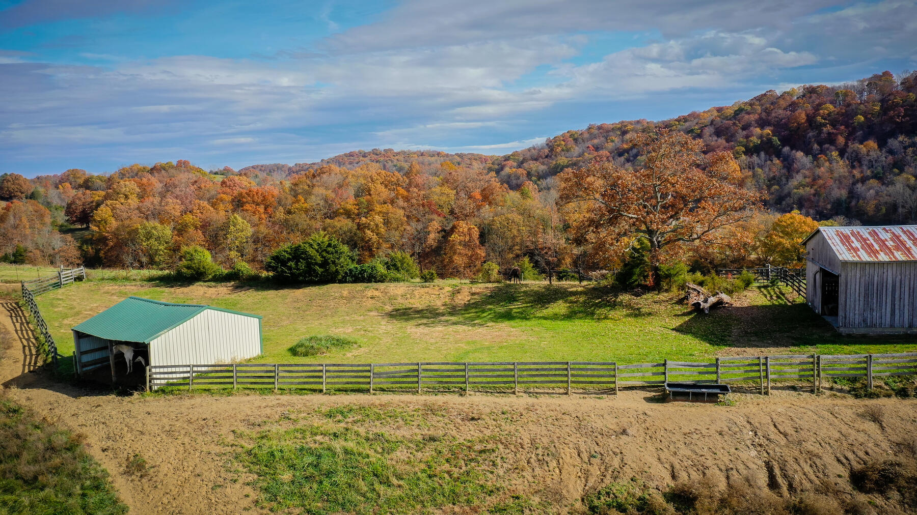 18325 Horton Highway, Fall Branch, Tennessee image 3