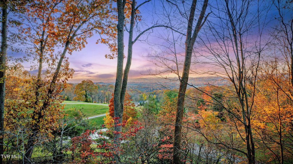 Photo of 5725 Chestnut Hills Drive, Kingsport, TN 37664 (MLS # 9988088)