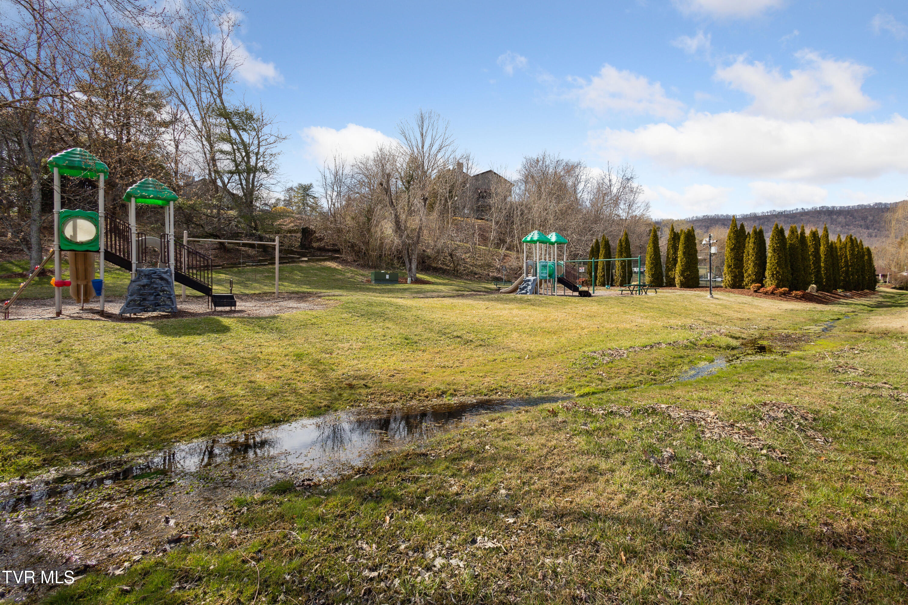 35 Willowbrook Court, Kingsport, Tennessee image 37