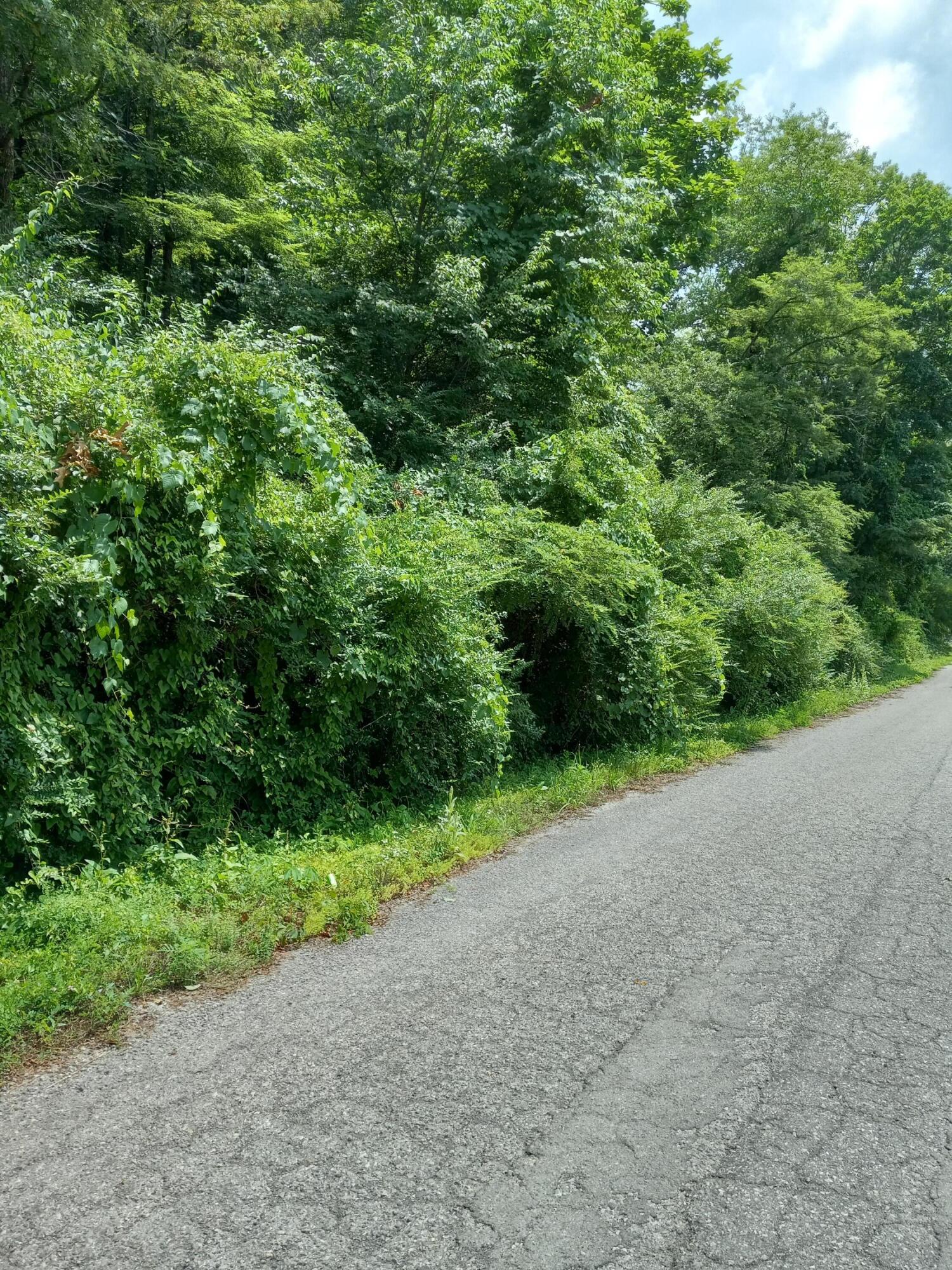 0000 Henry Street, Appalachia, Virginia image 2