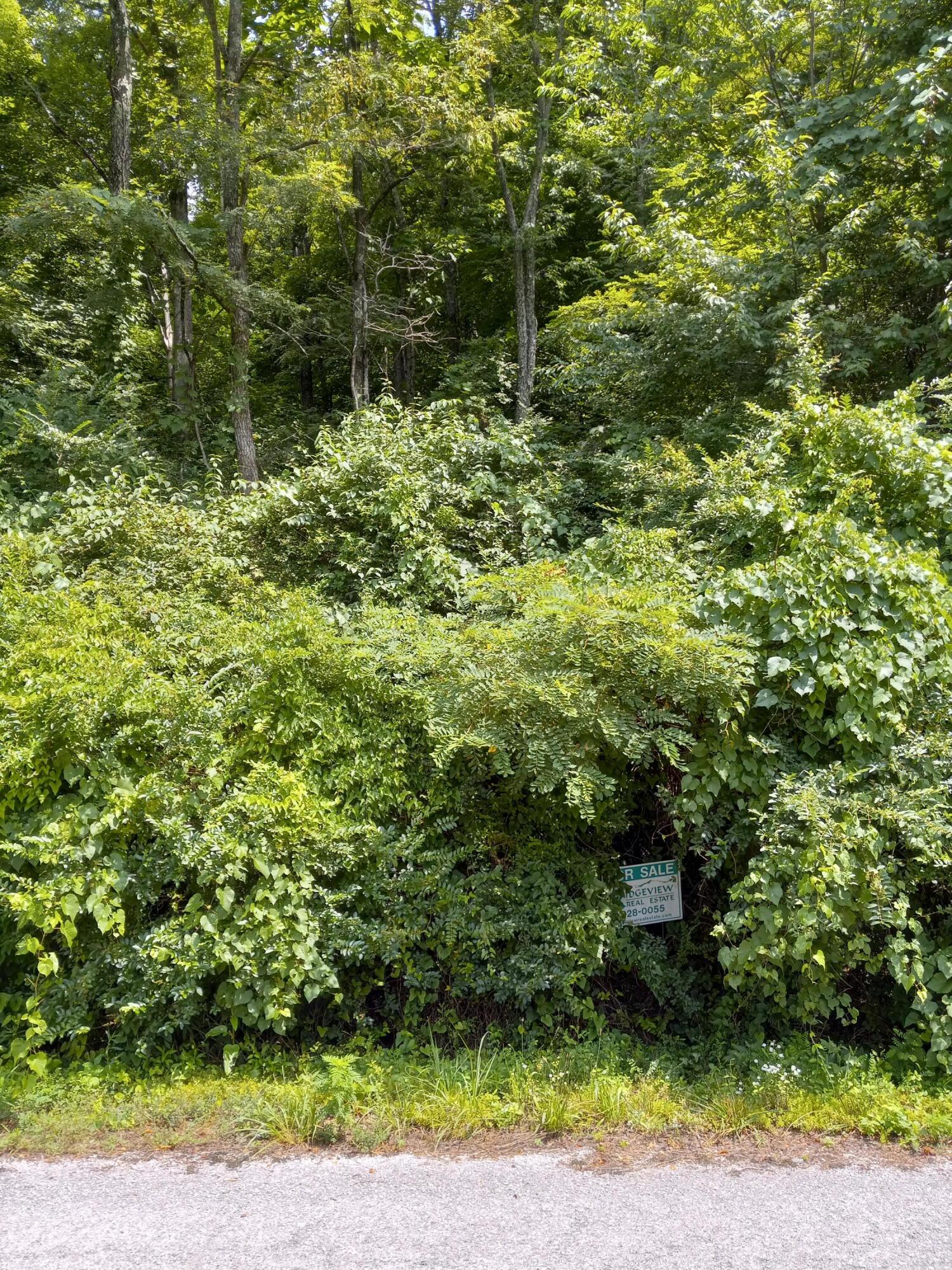 0000 Henry Street, Appalachia, Virginia image 1