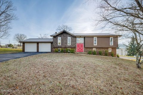 Photo of 485 Old Hickory Circle, Mount Carmel, TN 37645 (MLS # 9989823)
