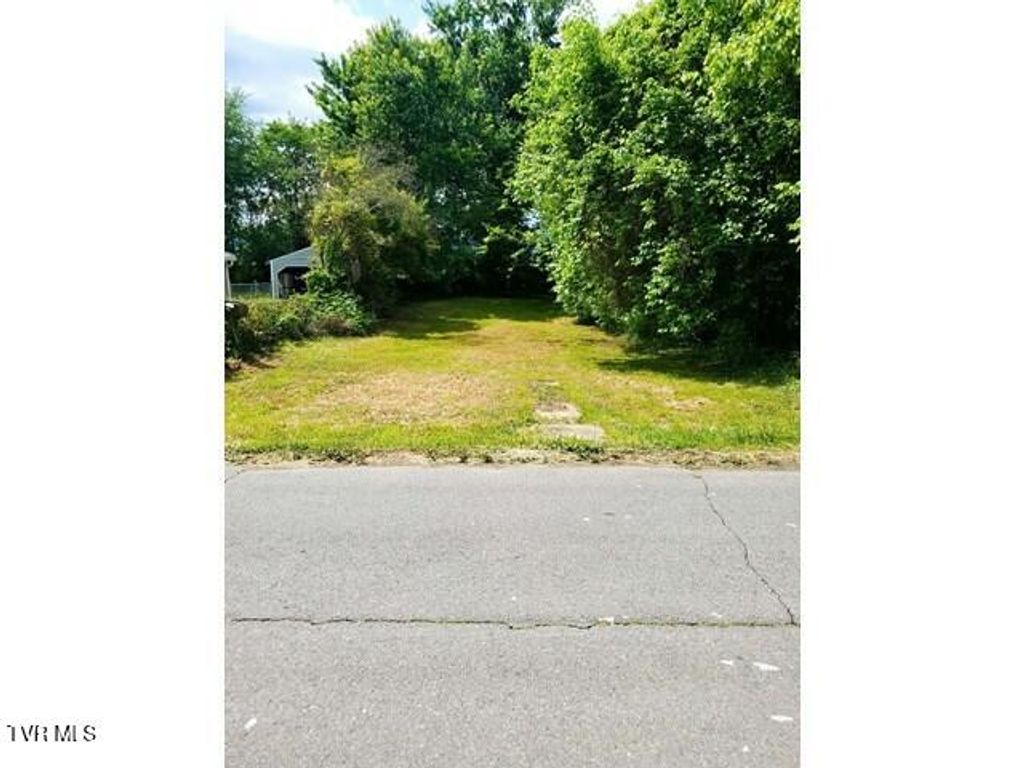 Photo of 2509 Gray Street, Johnson City, TN 37604 (MLS # 9995365)