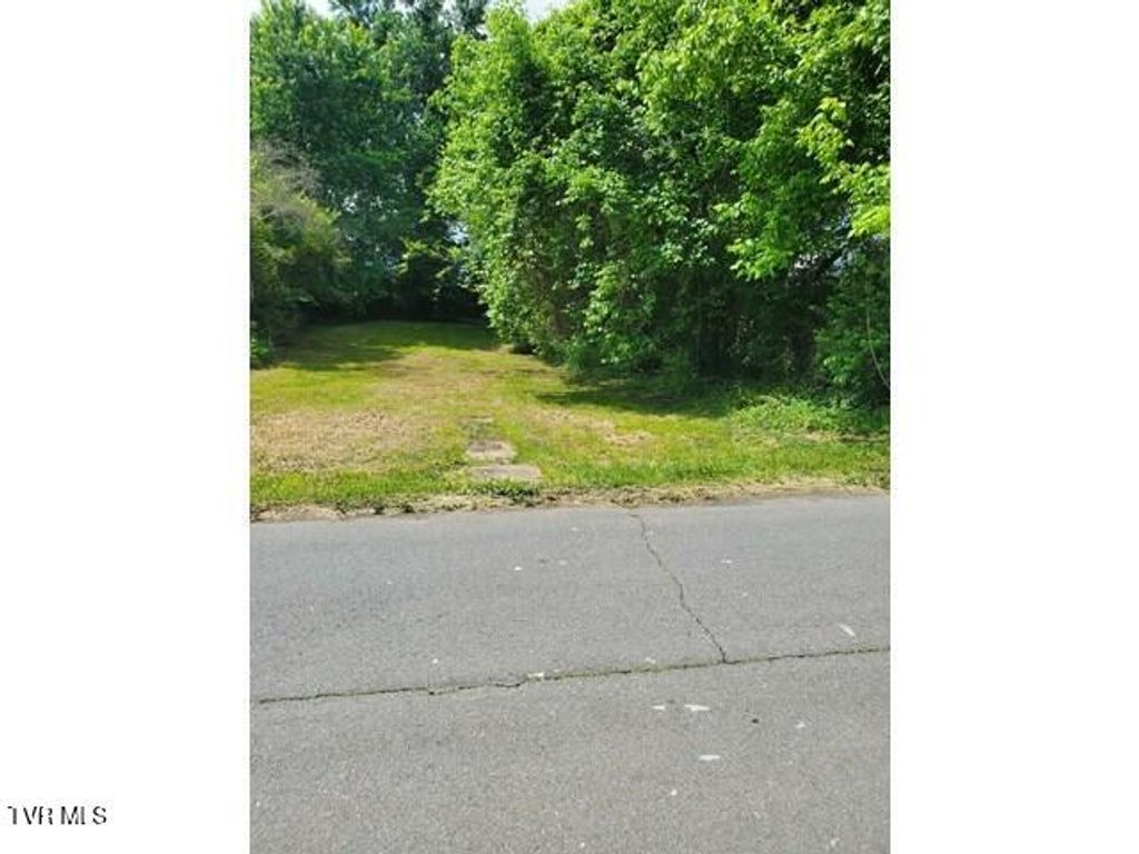Photo of 2509 Gray Street, Johnson City, TN 37604 (MLS # 9995365)