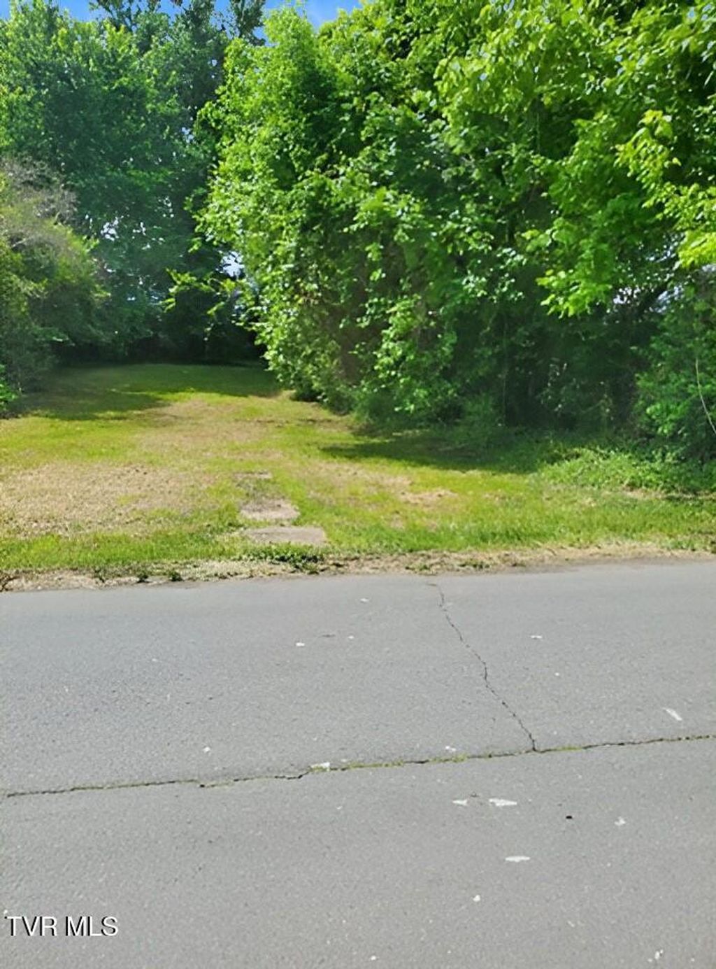 Photo of 2509 Gray Street, Johnson City, TN 37604 (MLS # 9995365)