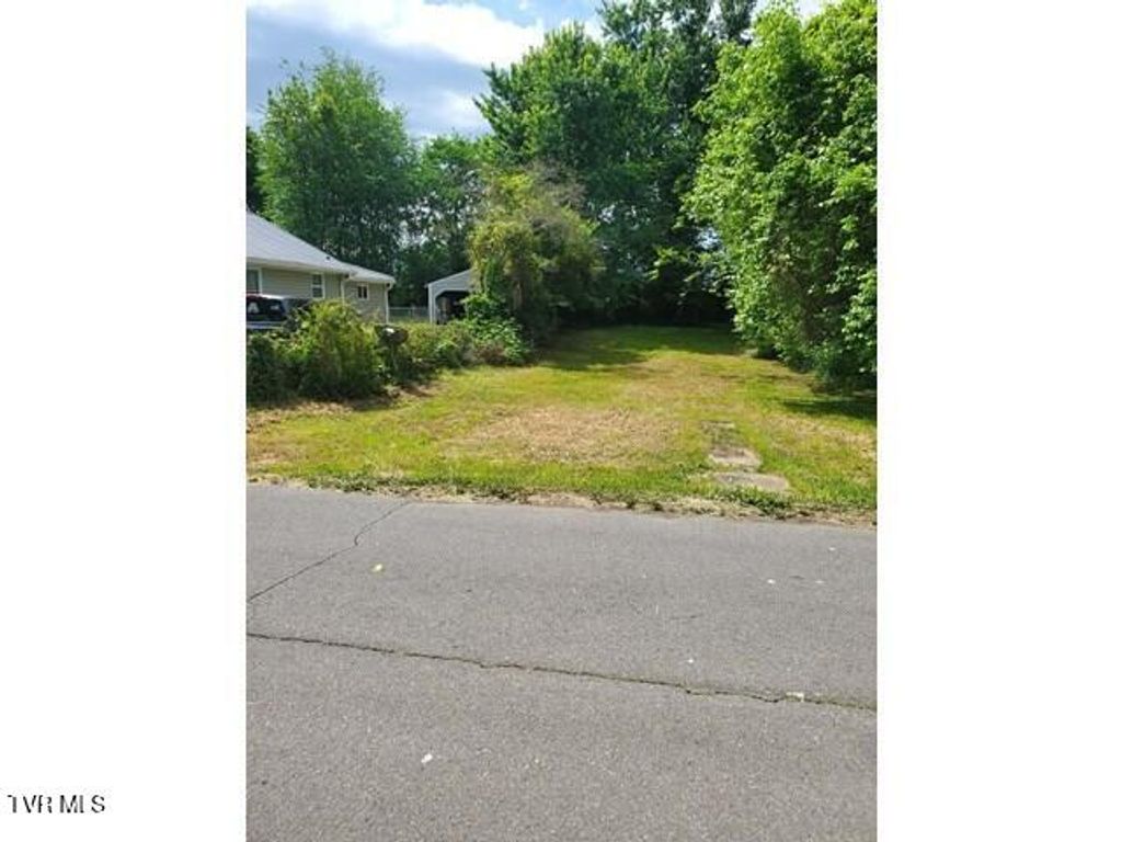 Photo of 2509 Gray Street, Johnson City, TN 37604 (MLS # 9995365)