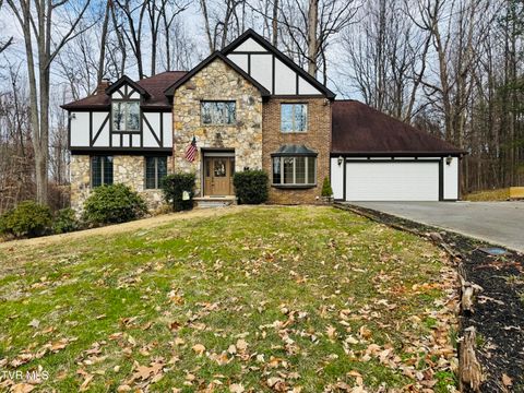 Photo of 5 Red Fern Circle, Johnson City, TN 37604 (MLS # 9990180)