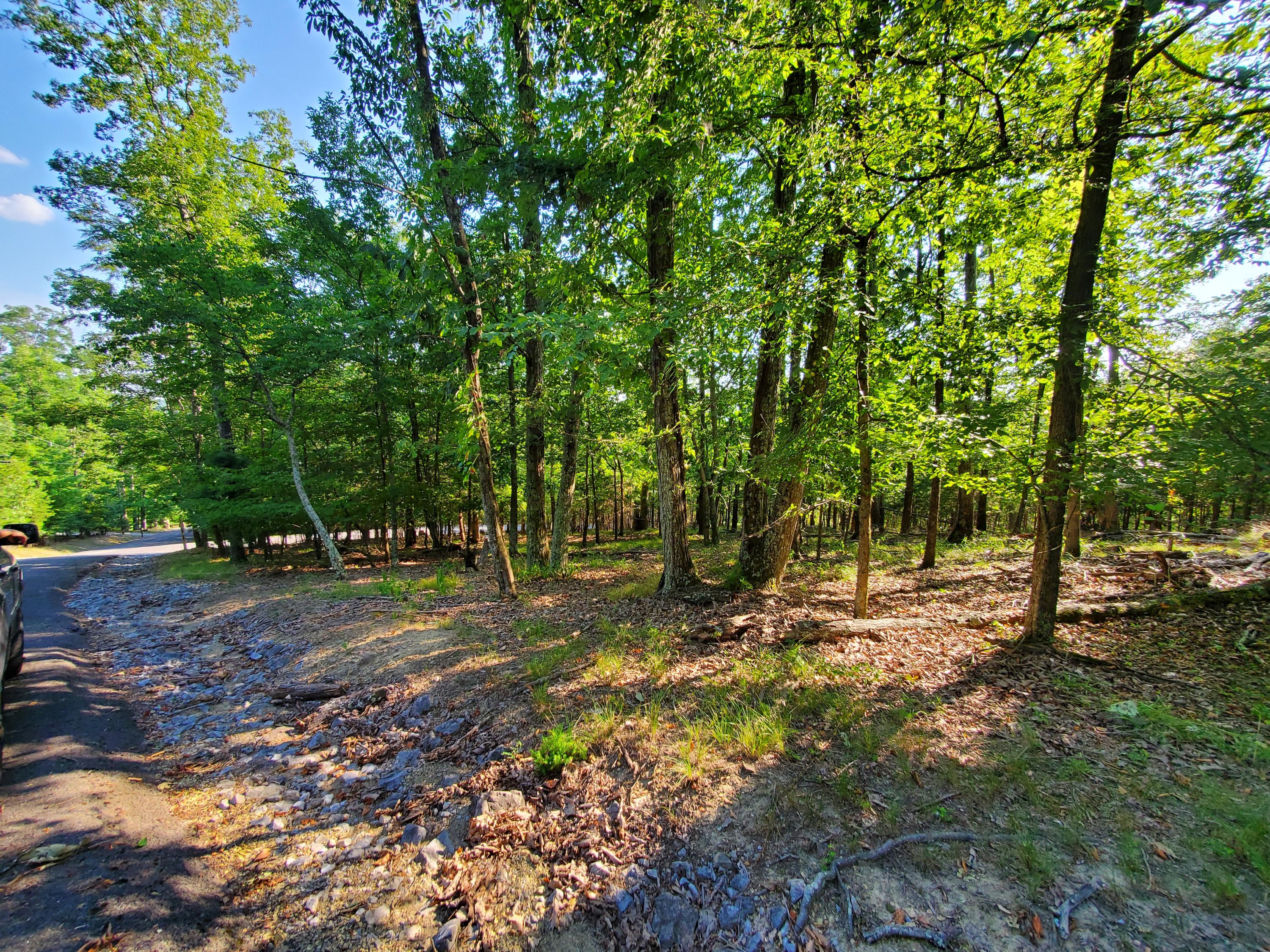 1324 Muskogee Drive, Mooresburg, Tennessee image 19