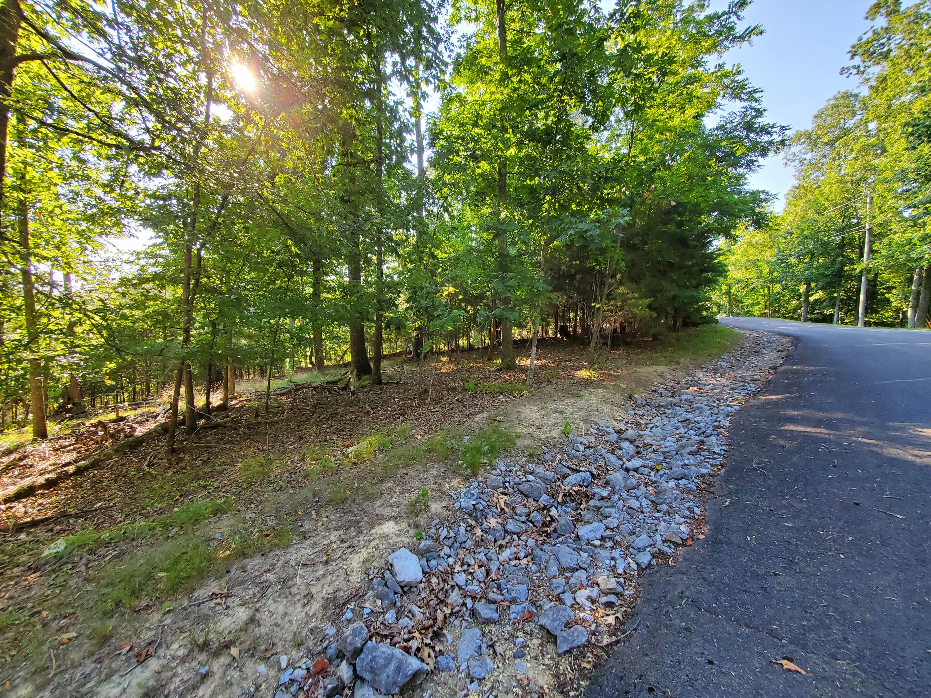 1324 Muskogee Drive, Mooresburg, Tennessee image 17
