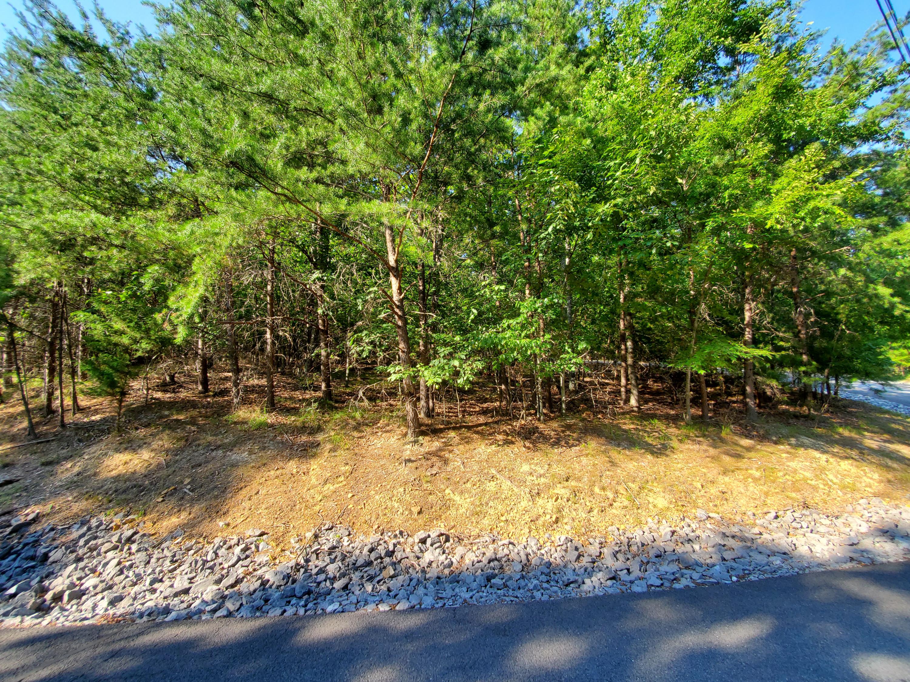 1324 Muskogee Drive, Mooresburg, Tennessee image 6