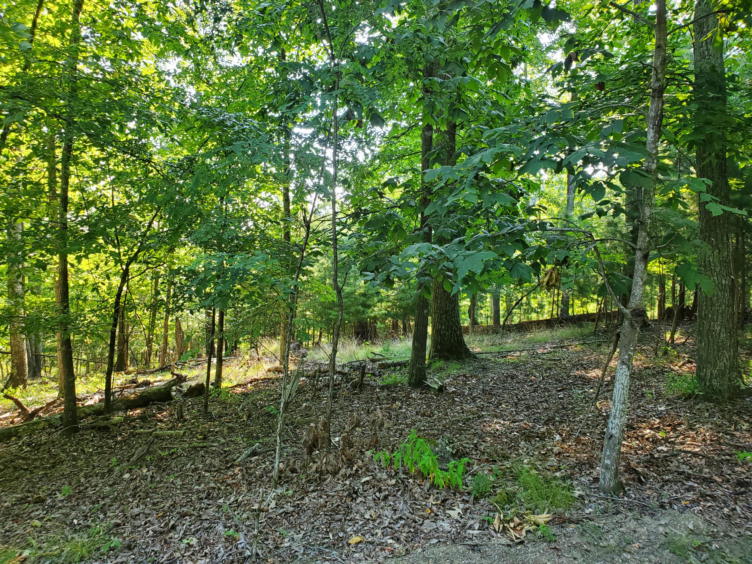 1324 Muskogee Drive, Mooresburg, Tennessee image 21