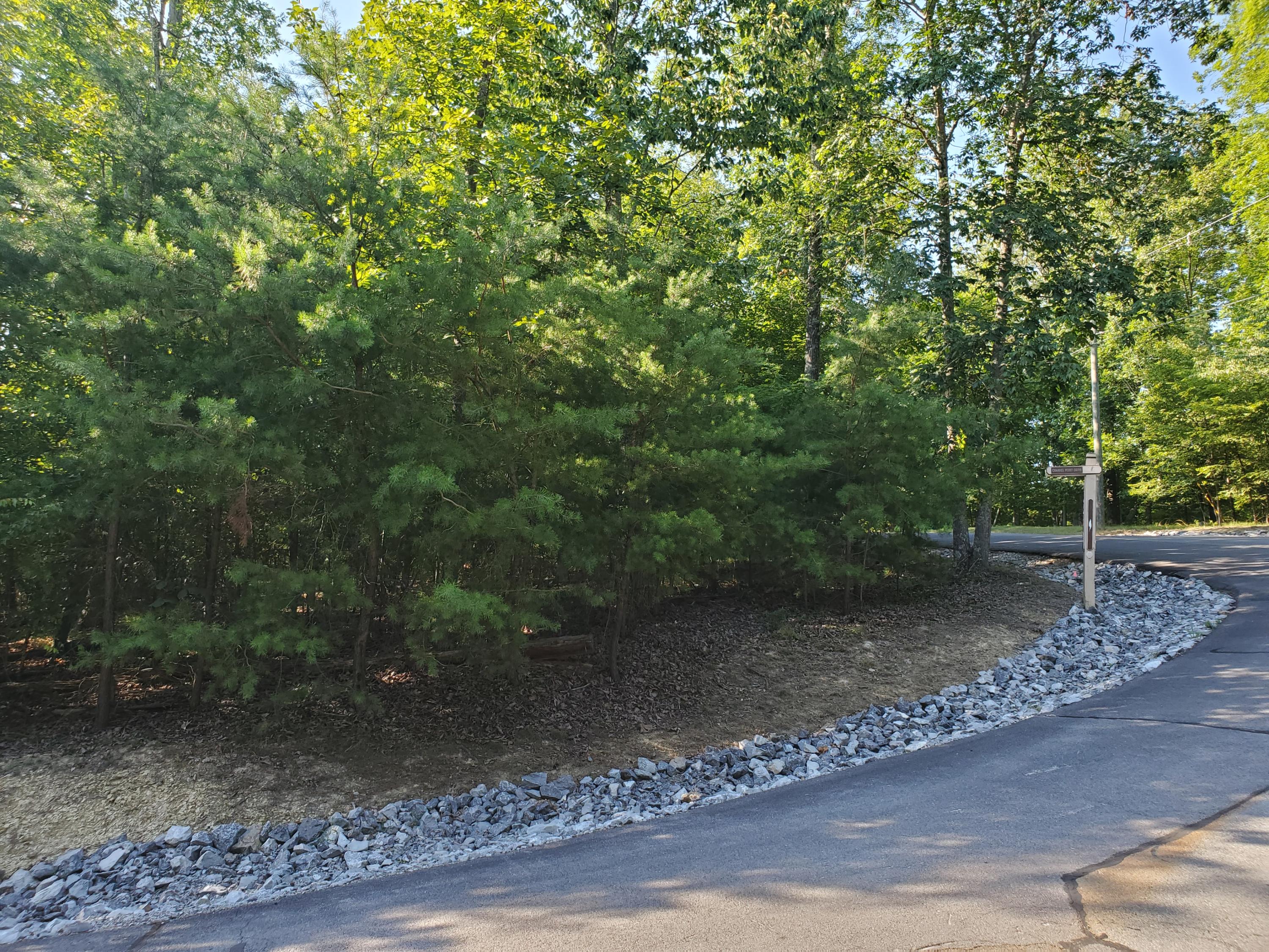 1324 Muskogee Drive, Mooresburg, Tennessee image 11