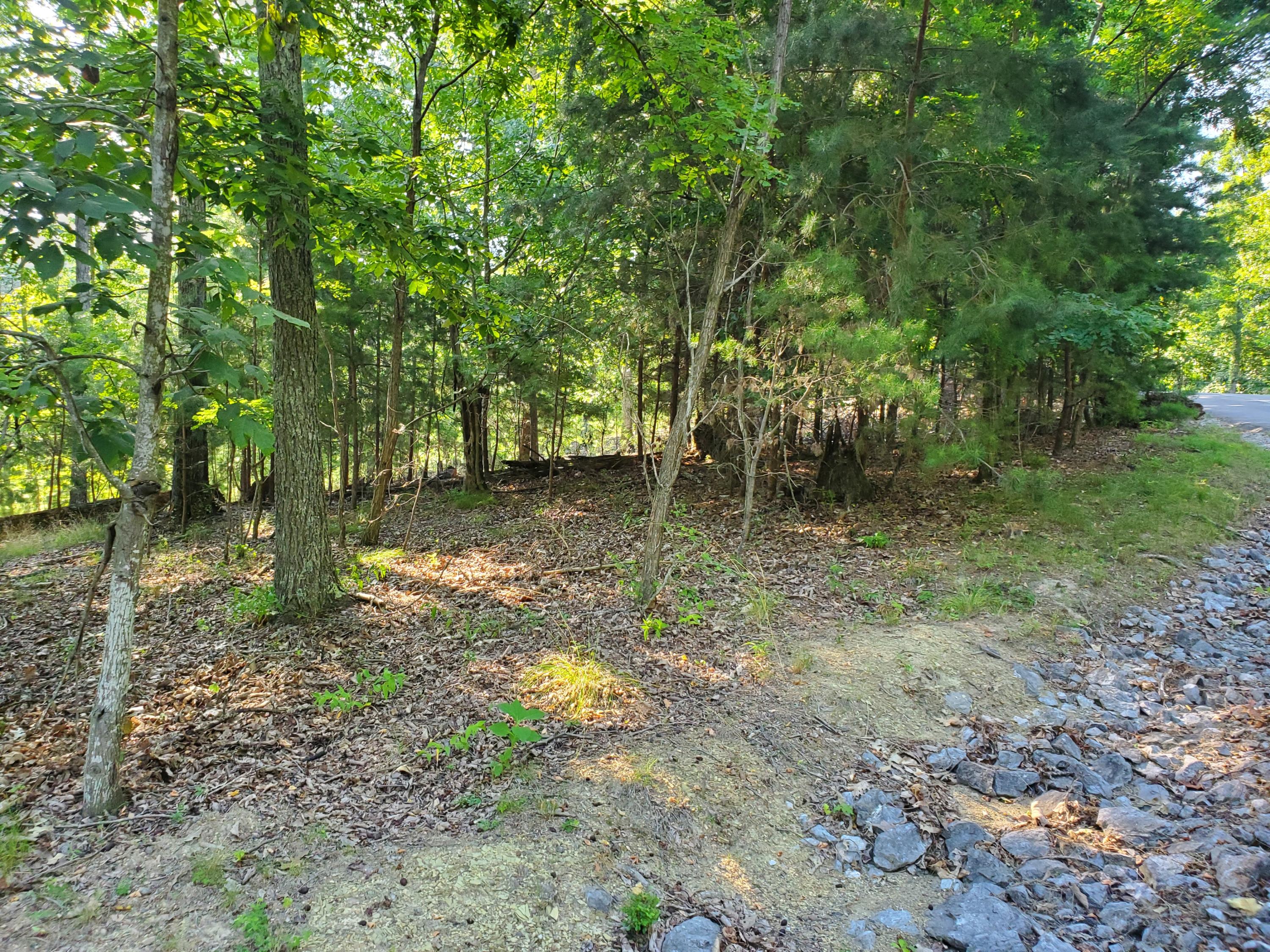 1324 Muskogee Drive, Mooresburg, Tennessee image 22