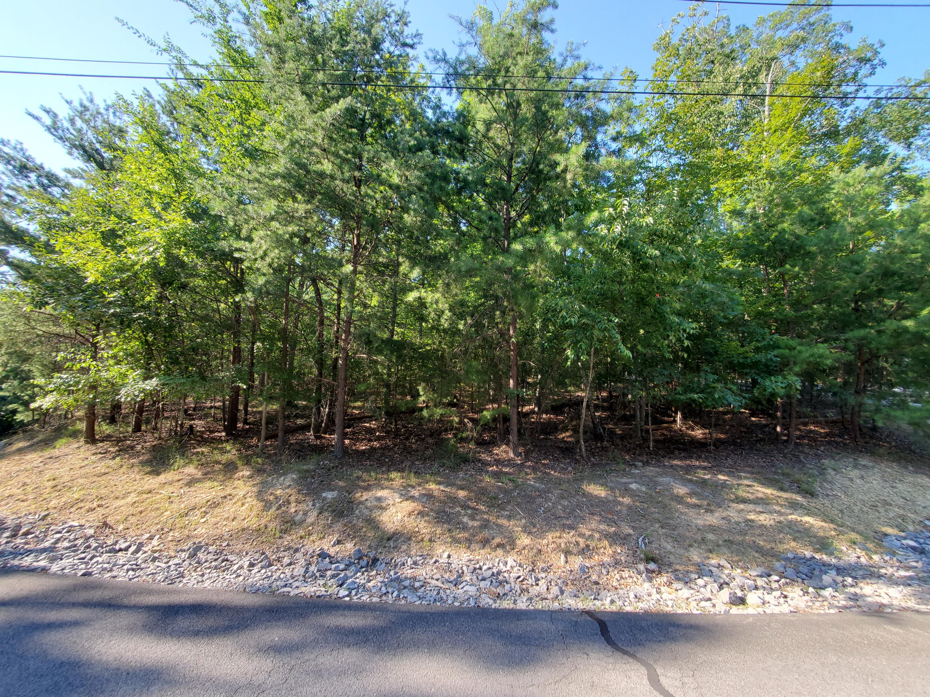 1324 Muskogee Drive, Mooresburg, Tennessee image 7