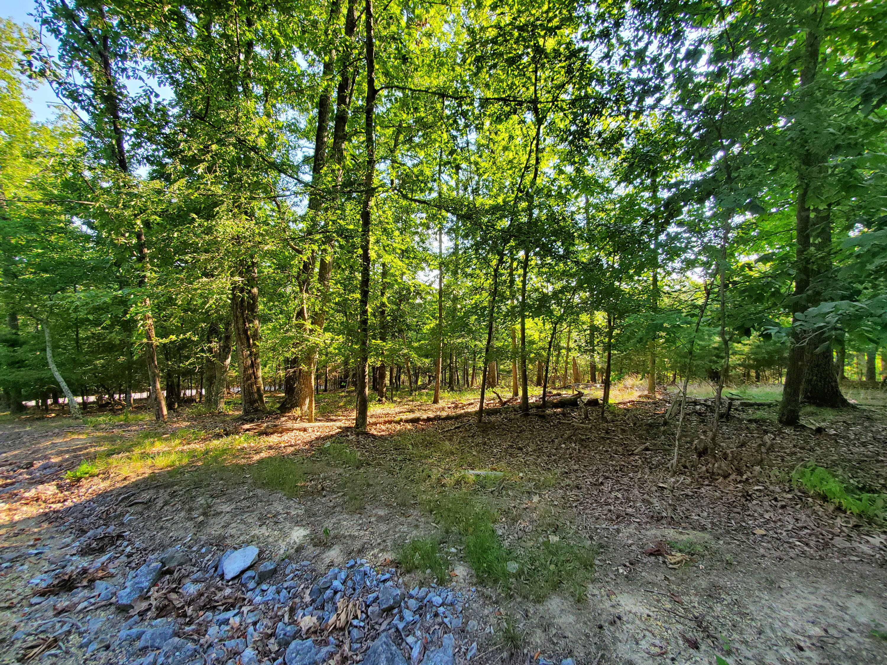 1324 Muskogee Drive, Mooresburg, Tennessee image 20