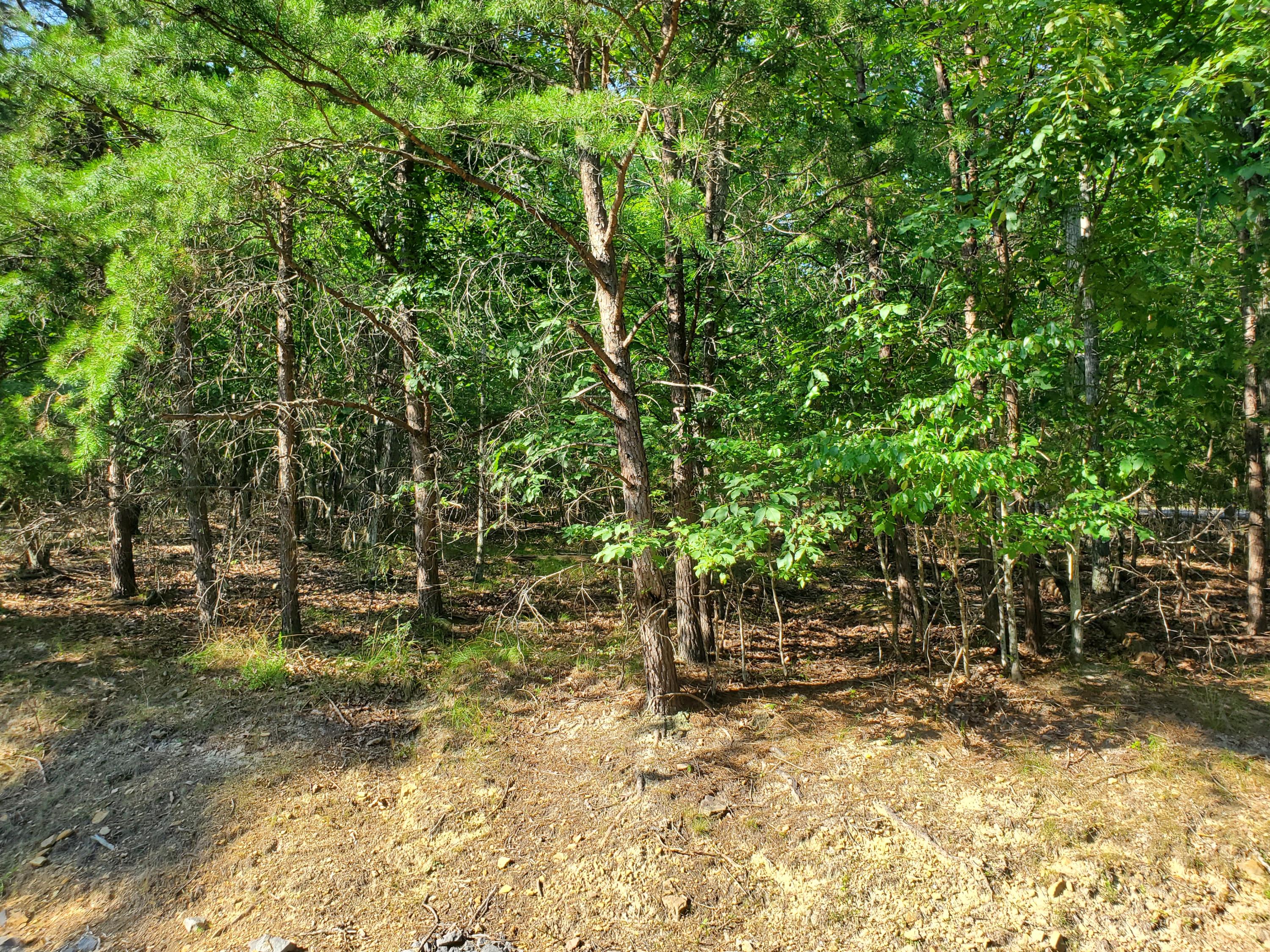 1324 Muskogee Drive, Mooresburg, Tennessee image 23