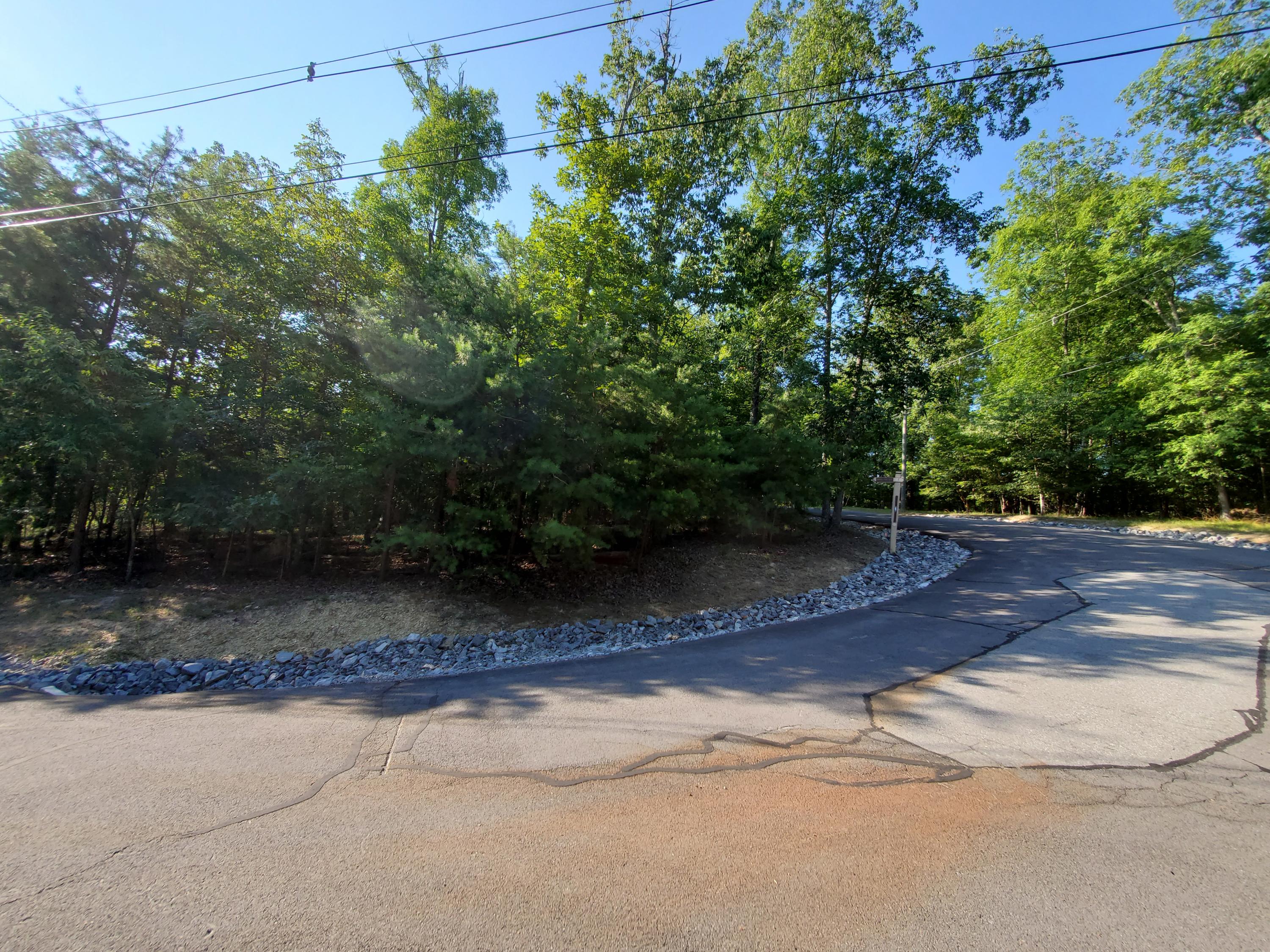 1324 Muskogee Drive, Mooresburg, Tennessee image 12