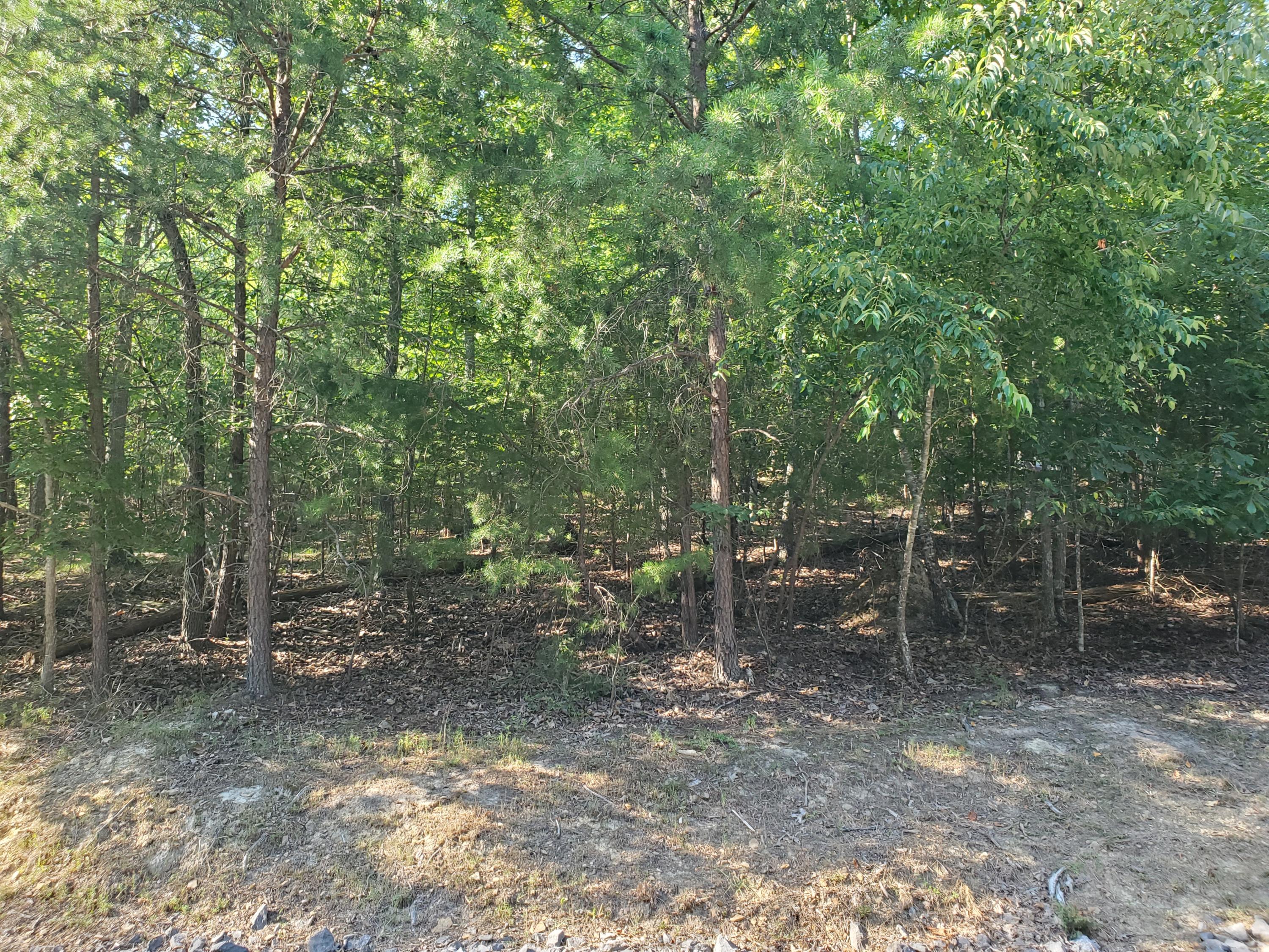 1324 Muskogee Drive, Mooresburg, Tennessee image 8