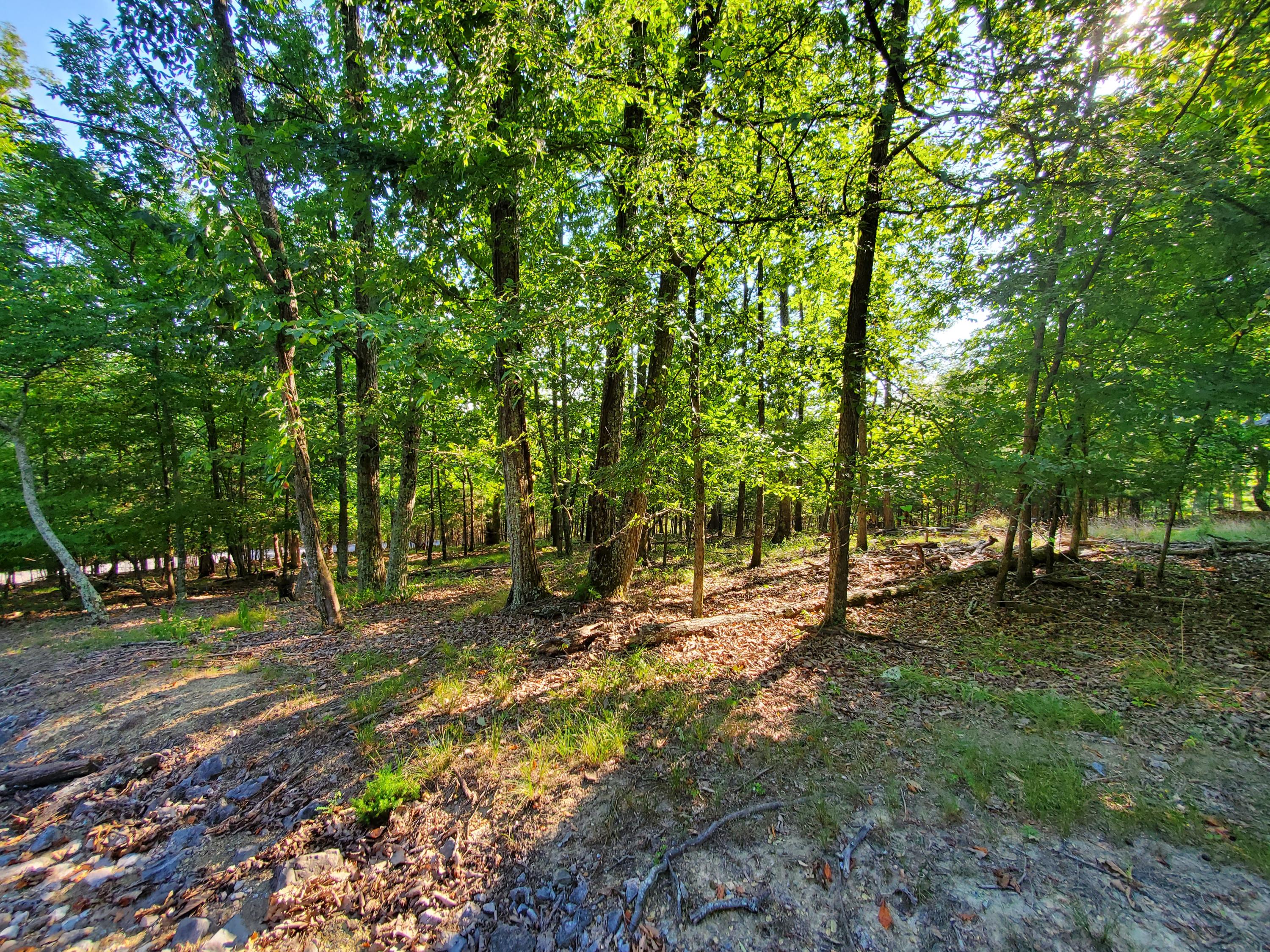 1324 Muskogee Drive, Mooresburg, Tennessee image 2