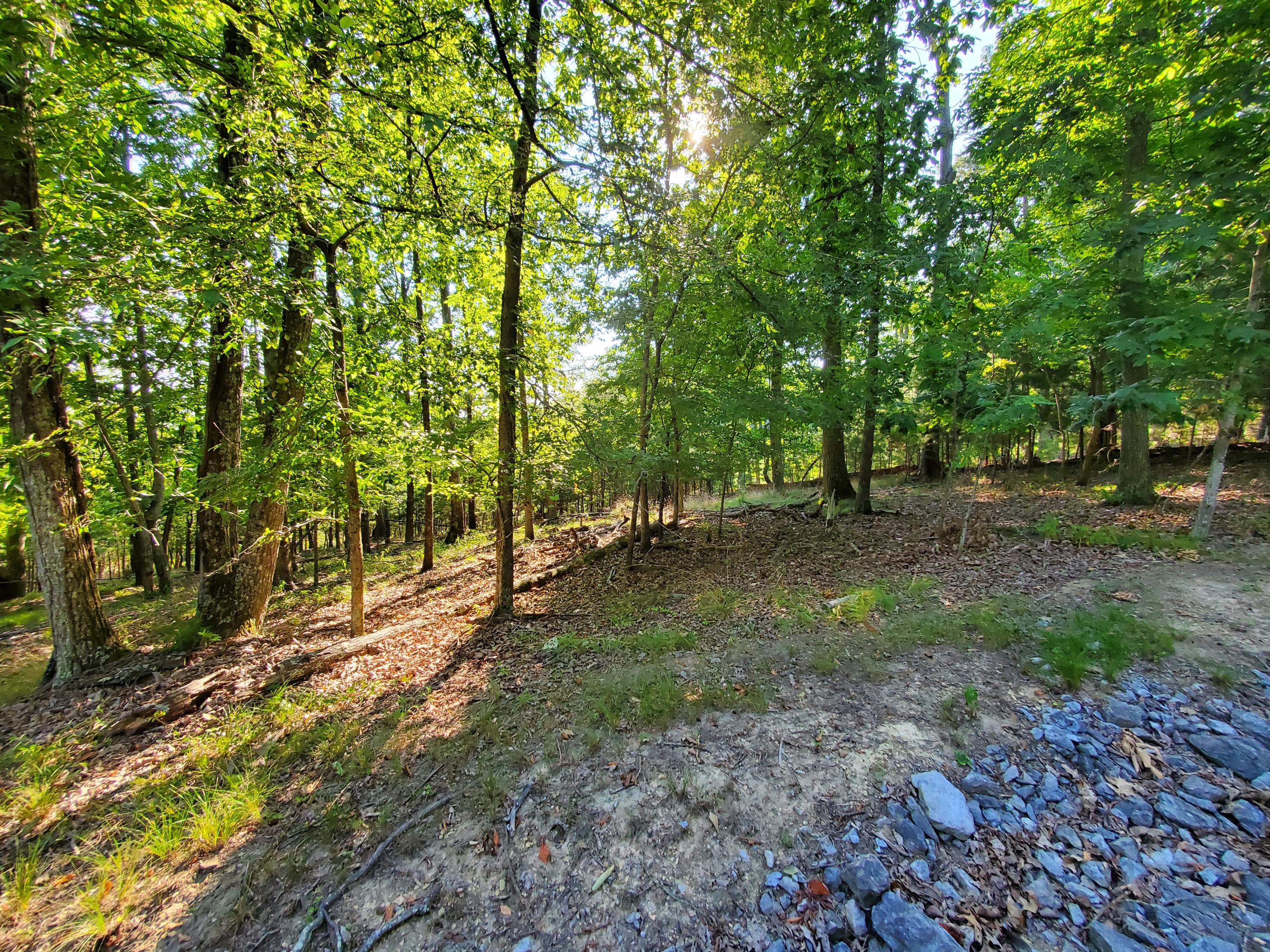 1324 Muskogee Drive, Mooresburg, Tennessee image 18