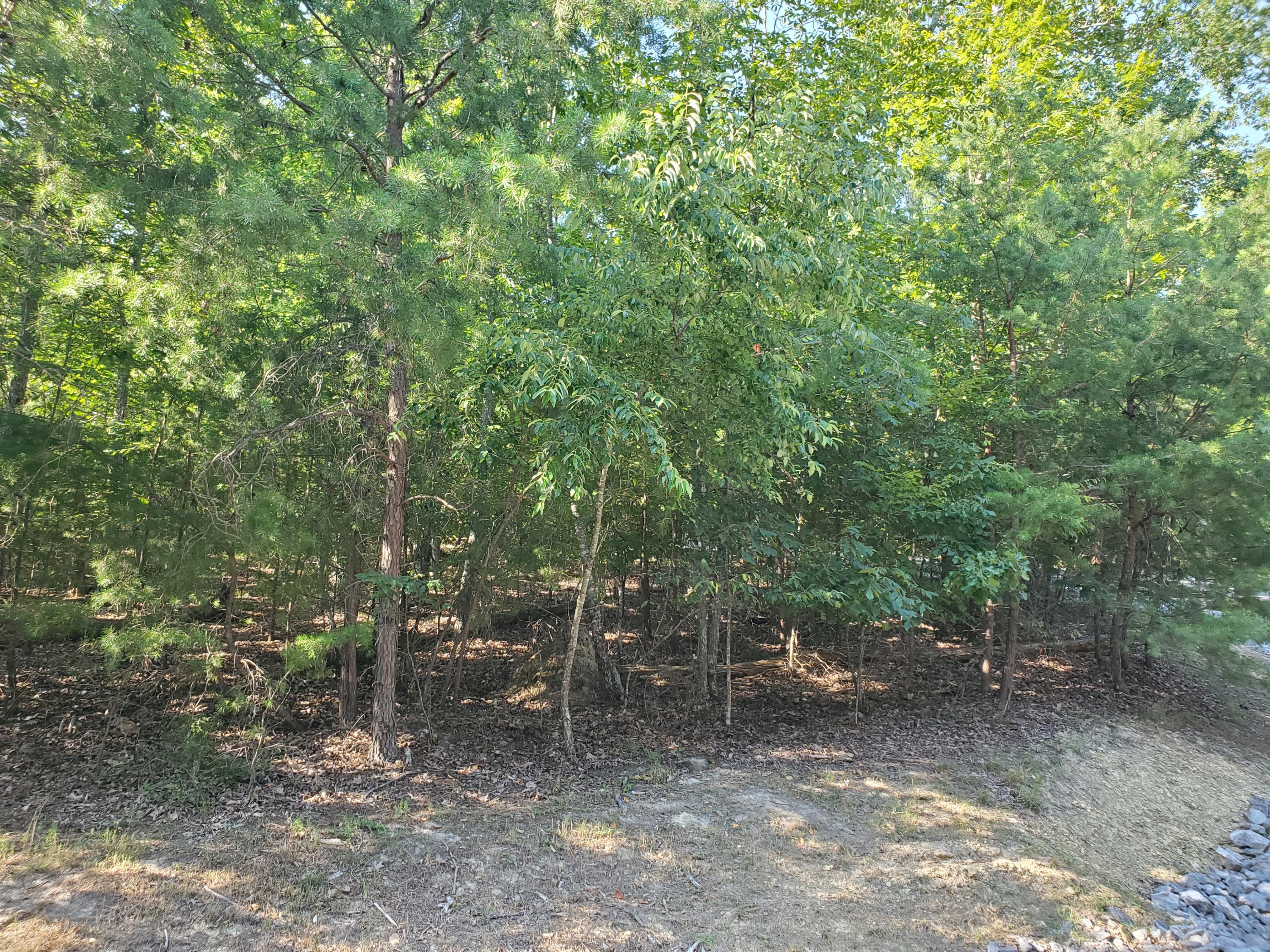 1324 Muskogee Drive, Mooresburg, Tennessee image 10