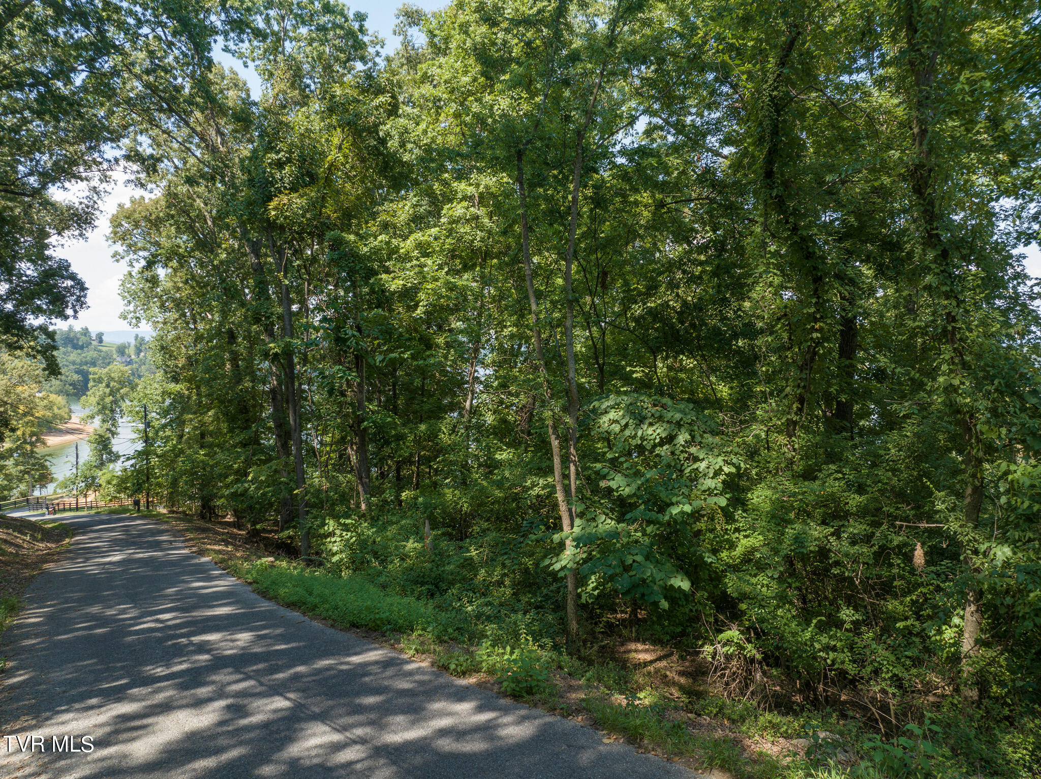2061 Lakewood Drive, Morristown, Tennessee image 6