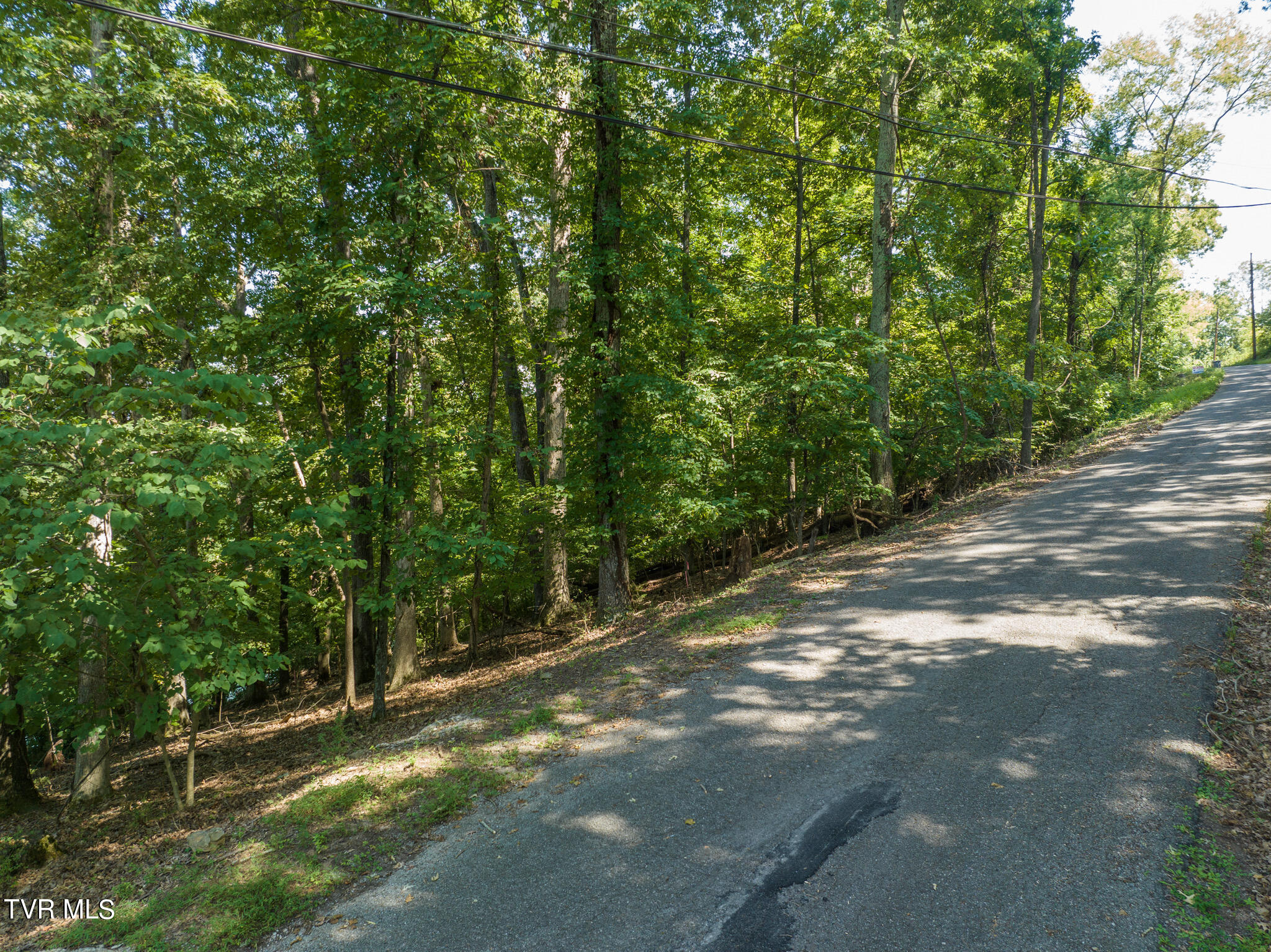 2061 Lakewood Drive, Morristown, Tennessee image 5