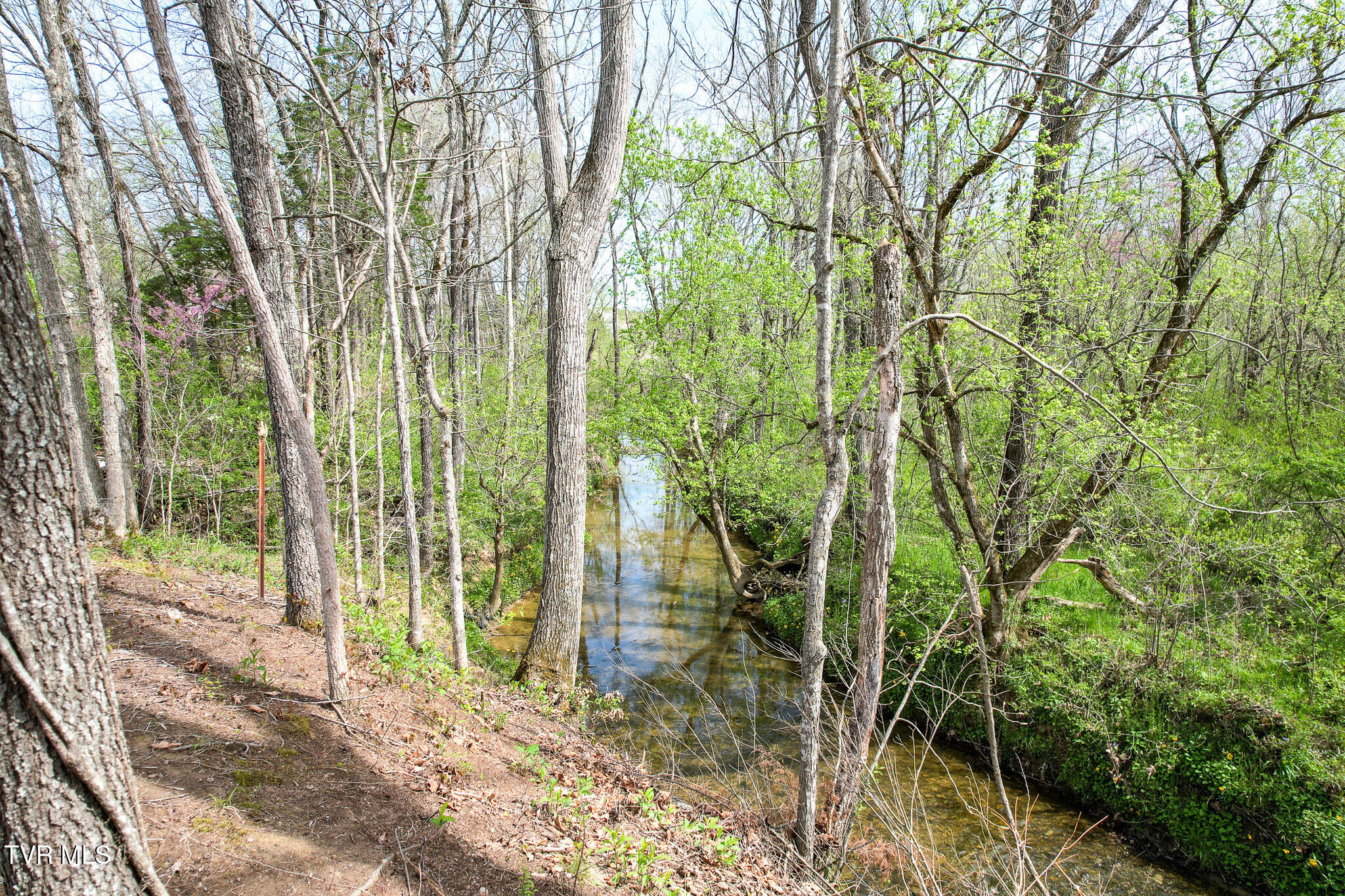 1620 Delta Valley Rd Rd, Greeneville, Tennessee image 44