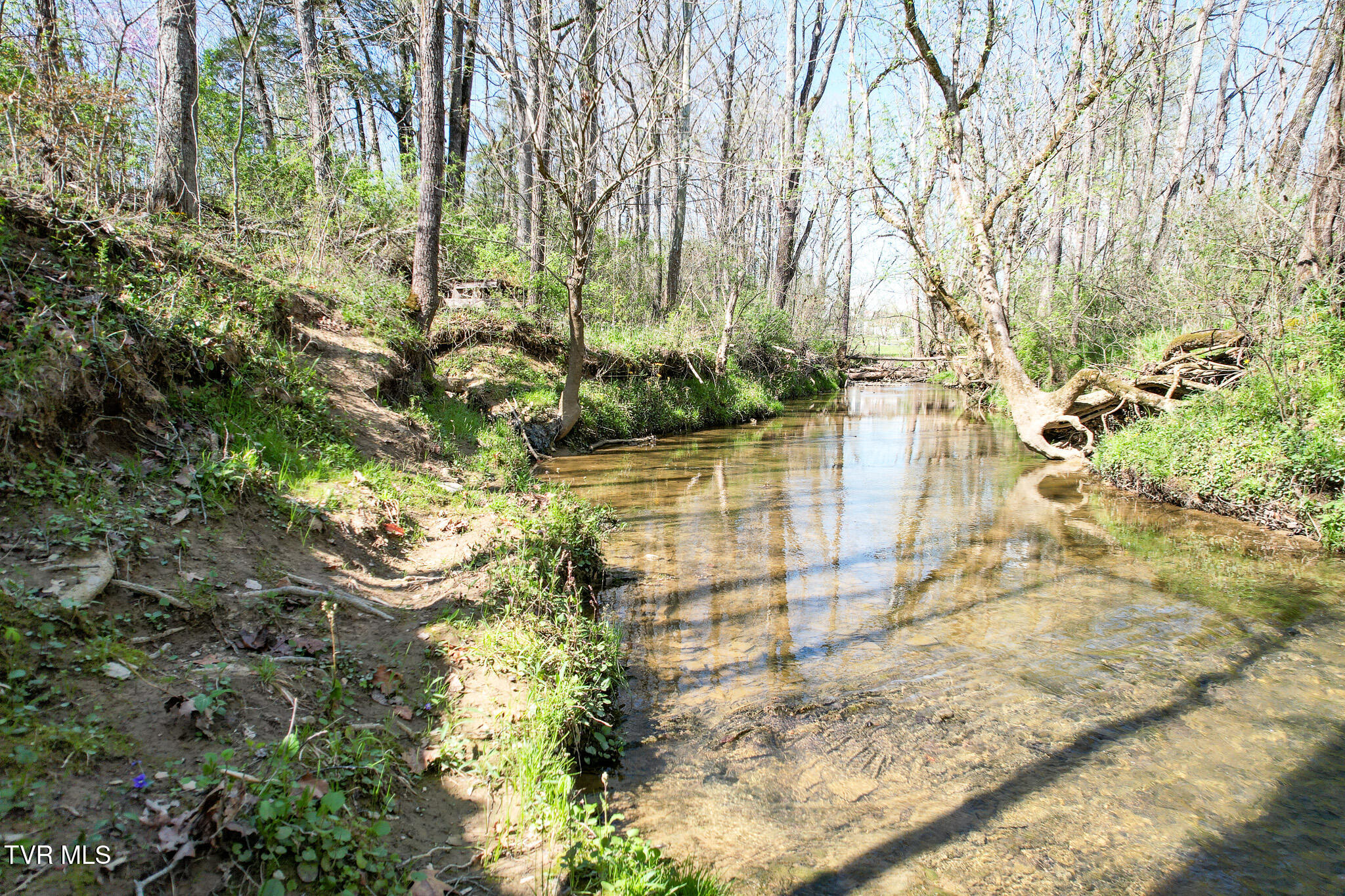 1620 Delta Valley Rd Rd, Greeneville, Tennessee image 15