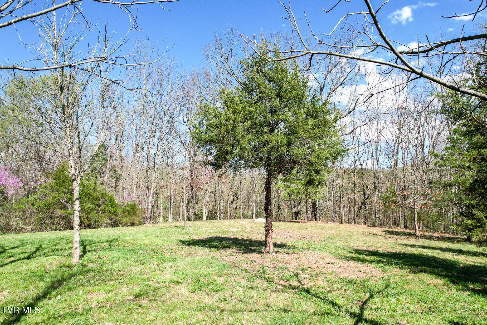 1620 Delta Valley Rd Rd, Greeneville, Tennessee image 40