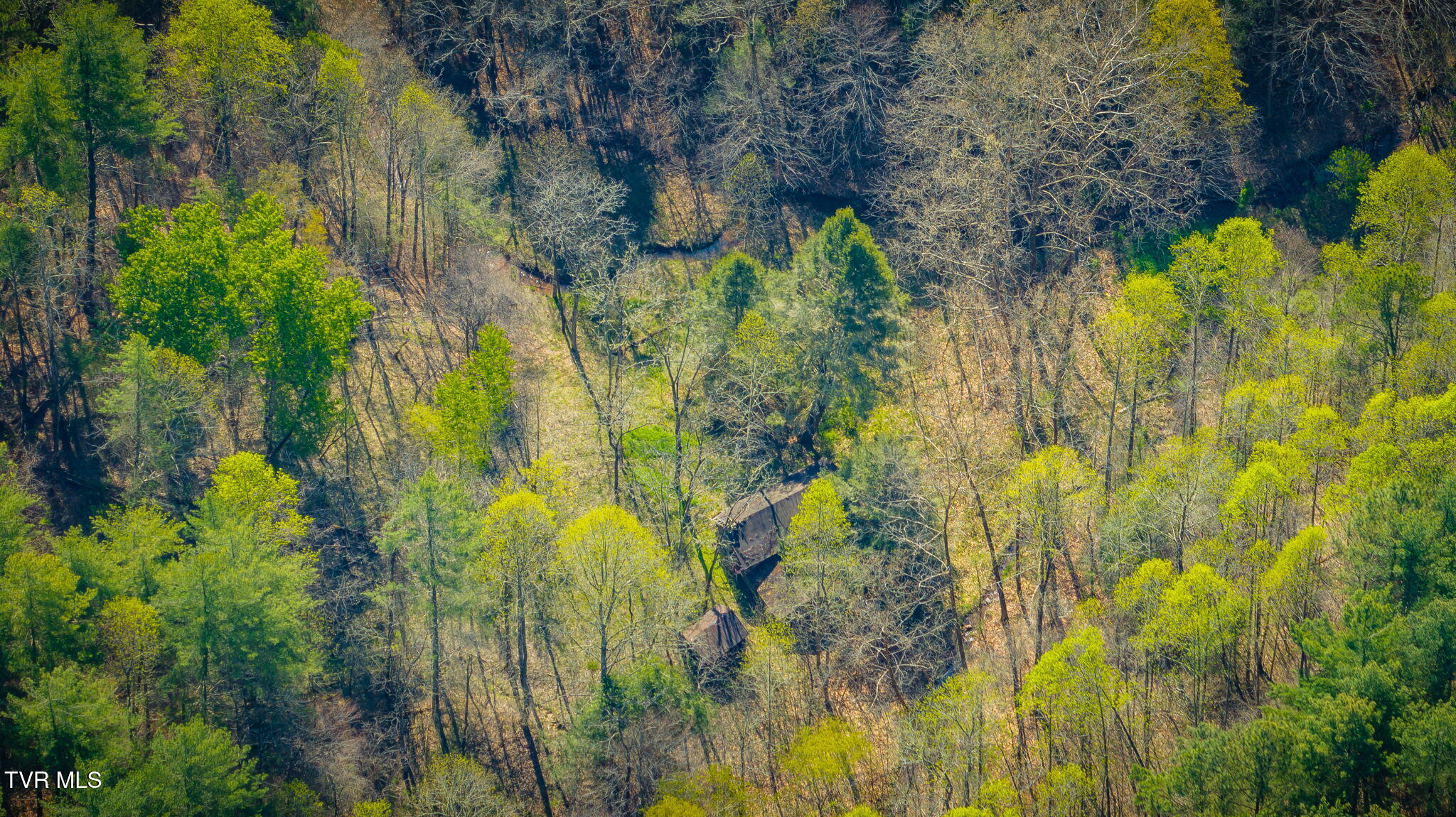 Tbd Stanley Valley Road, Surgoinsville, Tennessee image 33