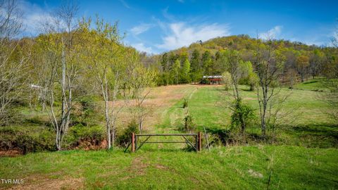 Vacant Land For Sale - TBD Stanley Valley Road<br/> Surgoinsville, TN 37873